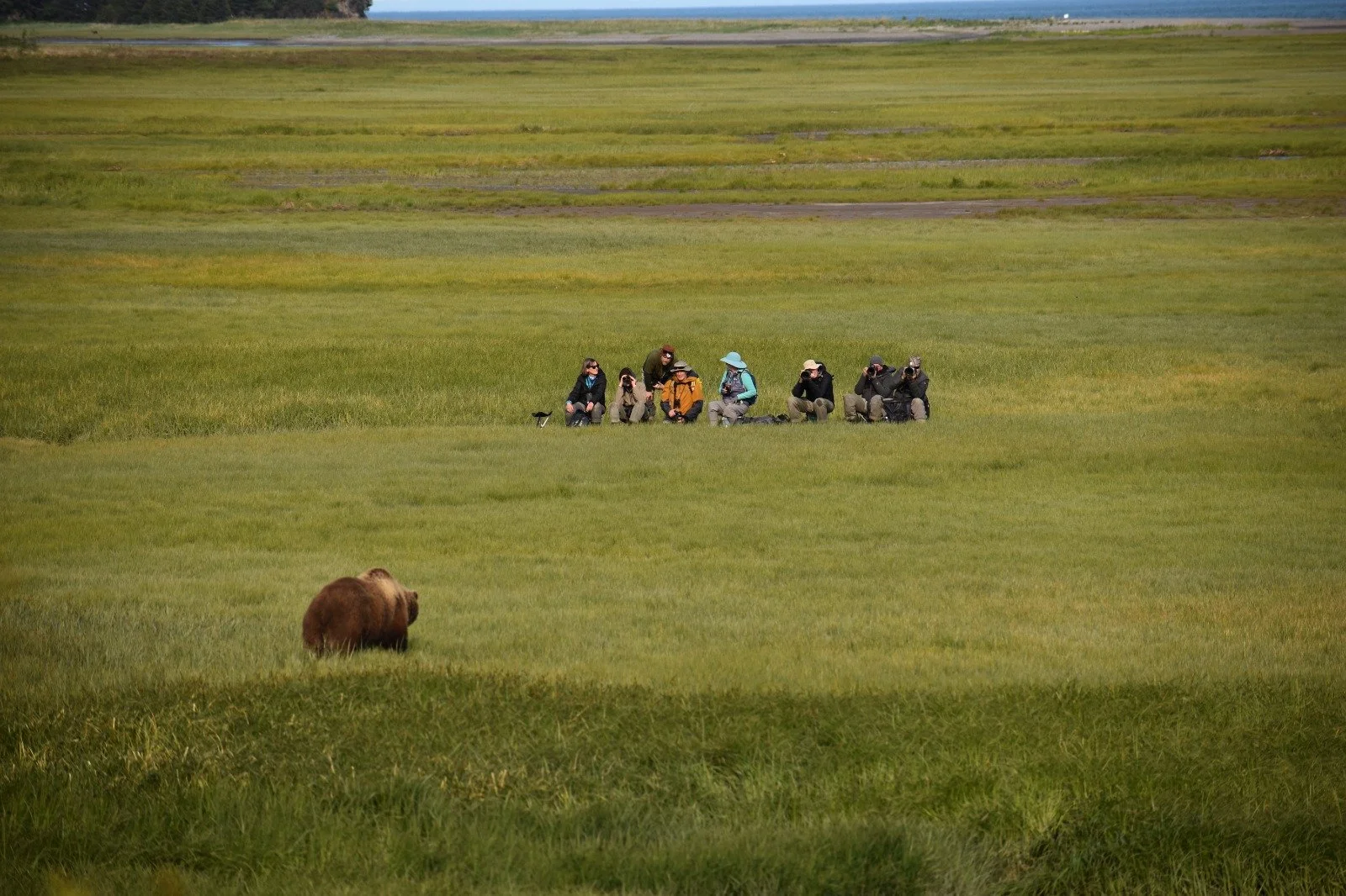 A group of photographers sitting on the grassy plains of a remote, open landscape, capturing a brown bear grazing in the foreground, with a distant water body and trees in the background.