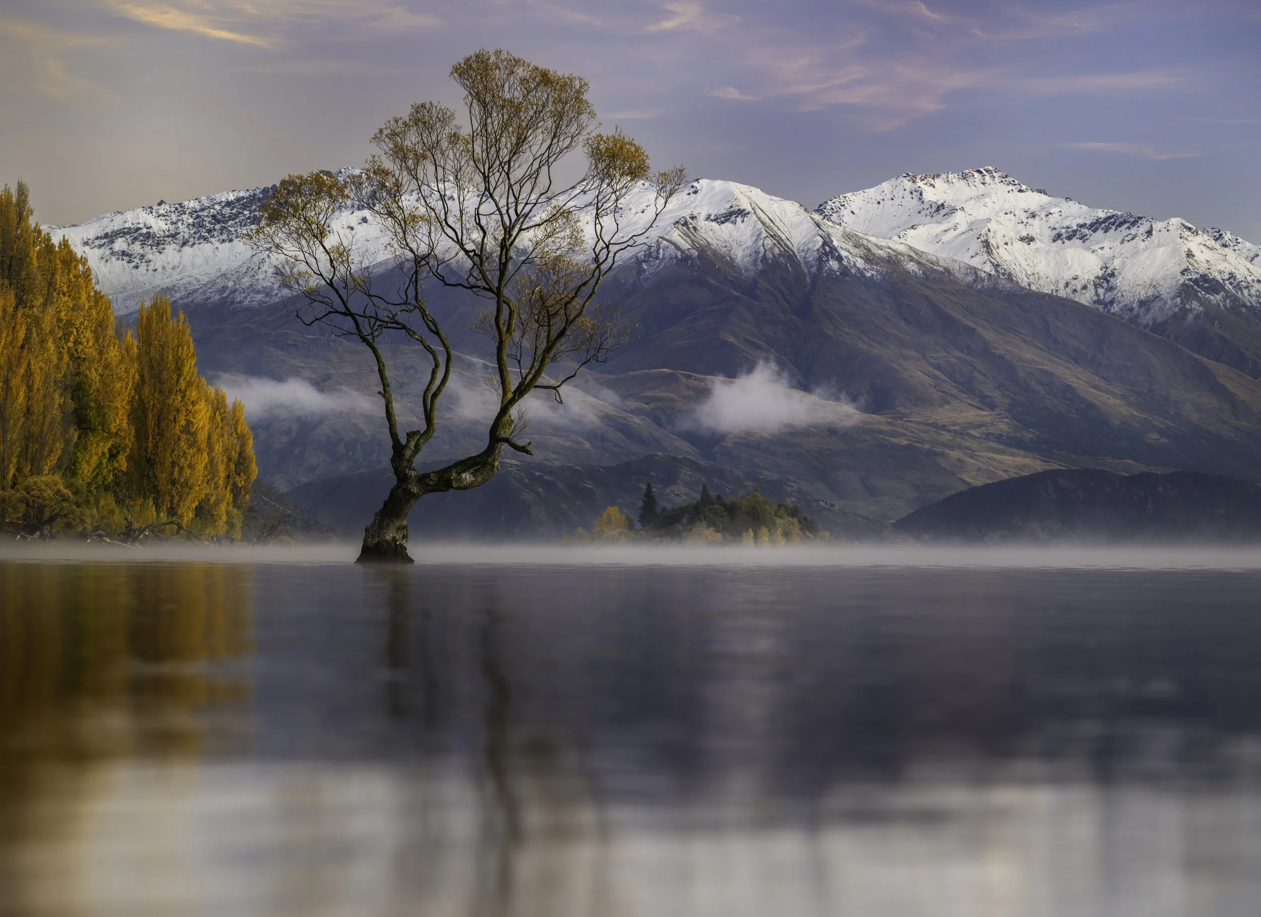 A tree growing in a body of water with snow-capped mountains and a partly cloudy sky in the background.