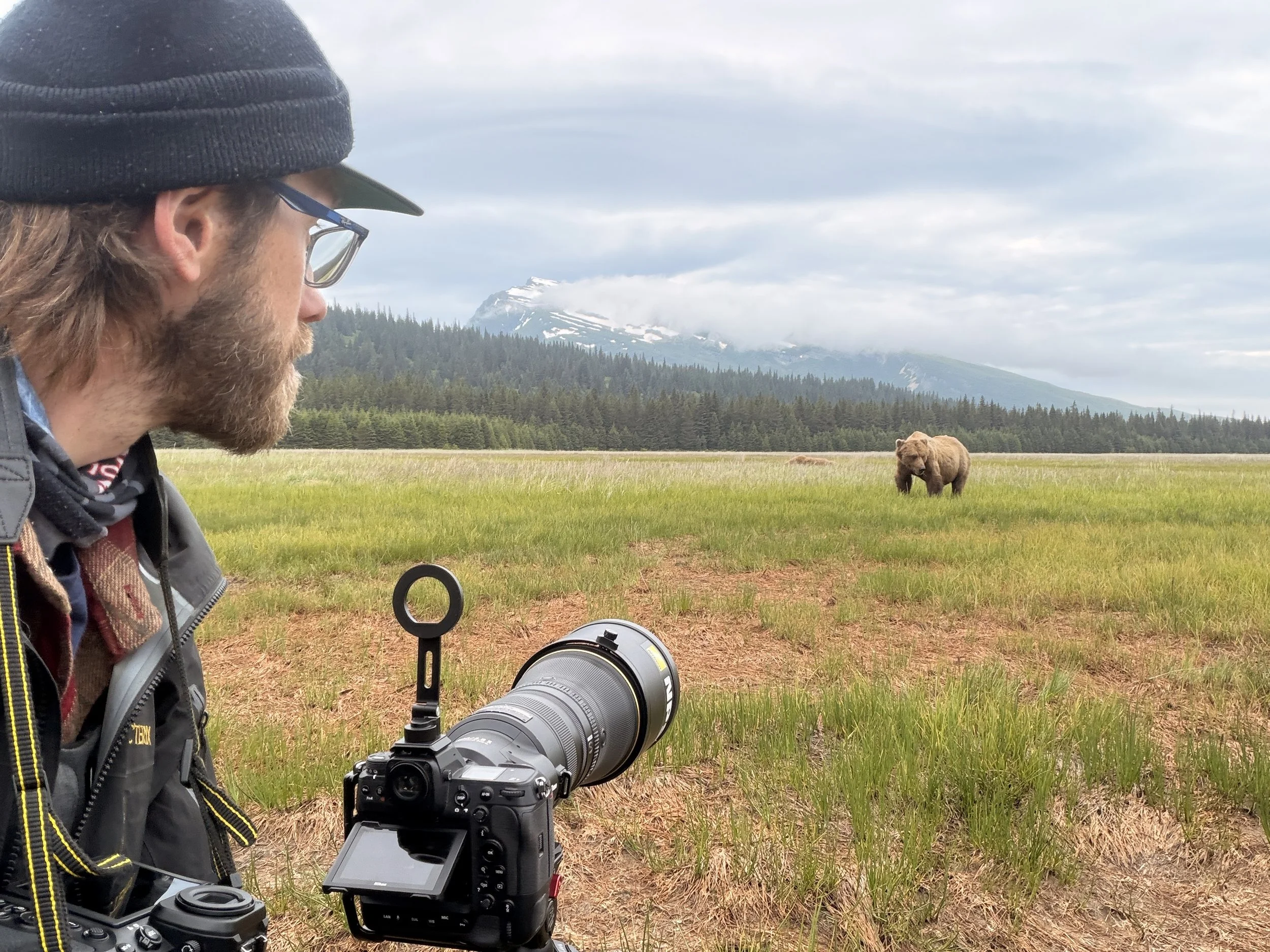 A person with a black beanie, glasses, and a jacket is taking a photo with a camera on a tripod in a grassy field. In the background, a bear is standing in the grass, with a mountainous landscape and cloudy sky behind it.