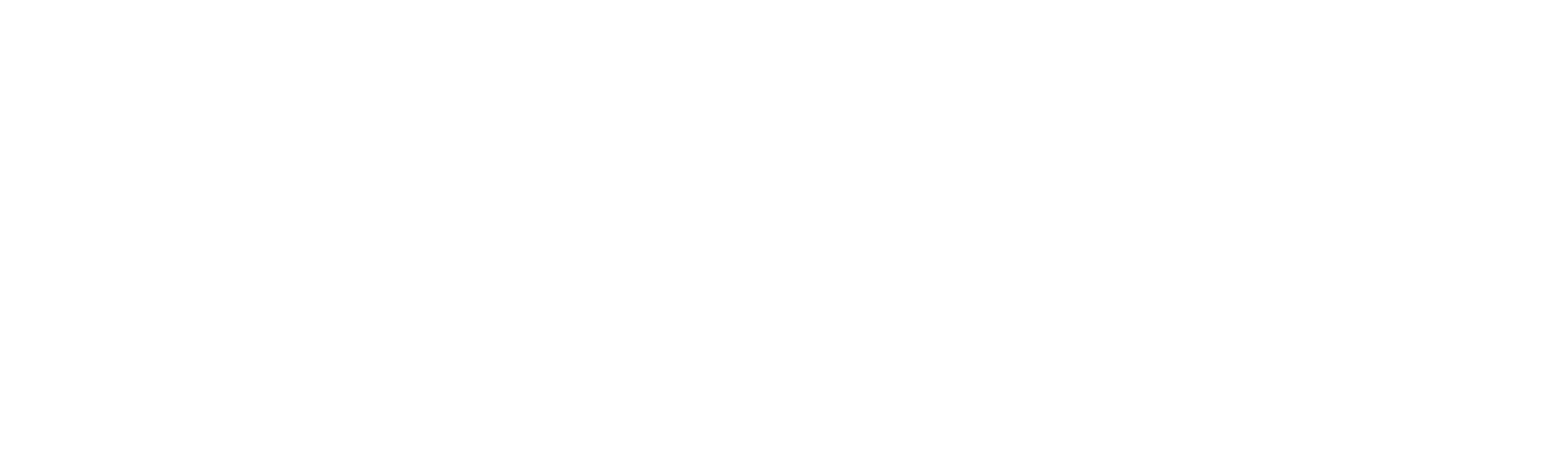 Wildlings Creative Agency