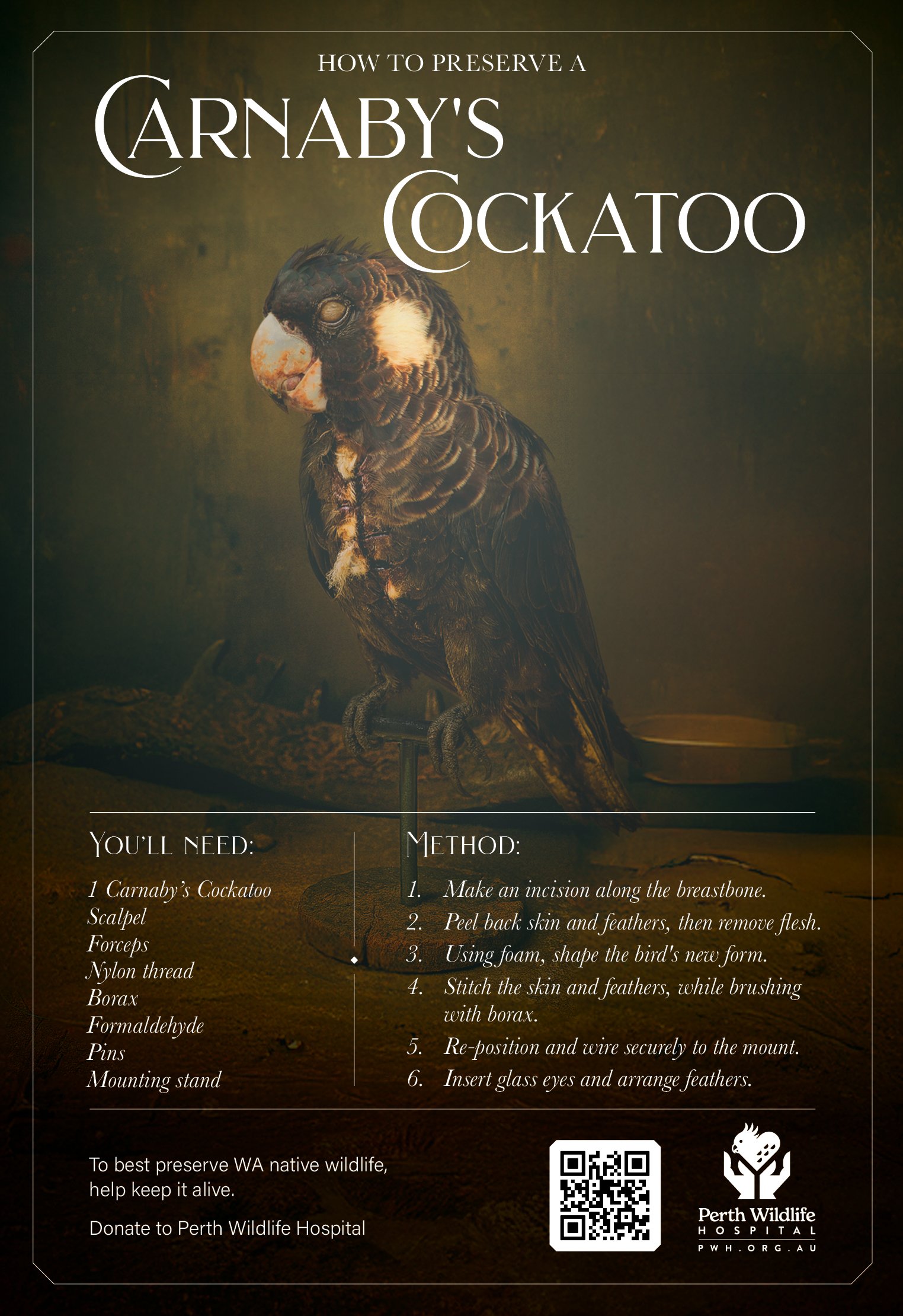 A magazine page with a dark background featuring a large image of a cockatoo bird. The title reads 'How to Preserve a Carnaby's Cockatoo'. The page includes a list of materials needed and a step-by-step method for creating a bird preservation art pro