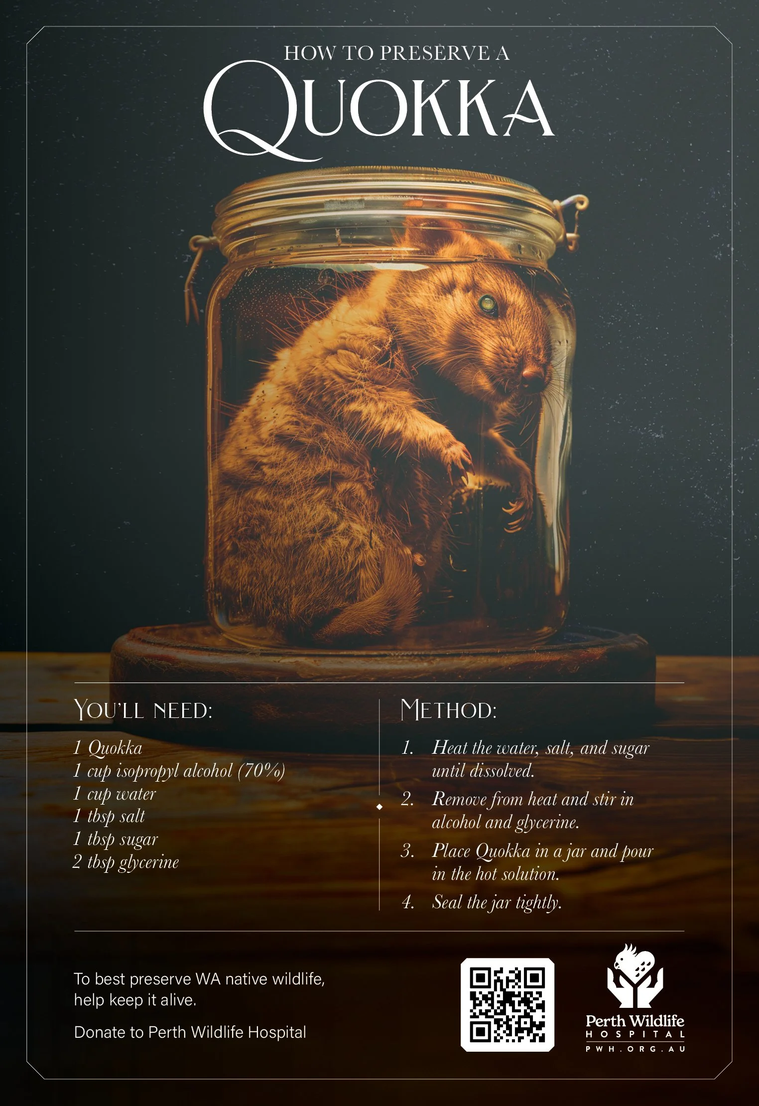 An infographic about preserving Quokka, featuring a photo of a Quokka inside a glass jar, with instructions for making an alcohol-based solution to preserve the animal.