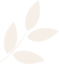 A simple graphic of a brown leaf branch with three leaves.