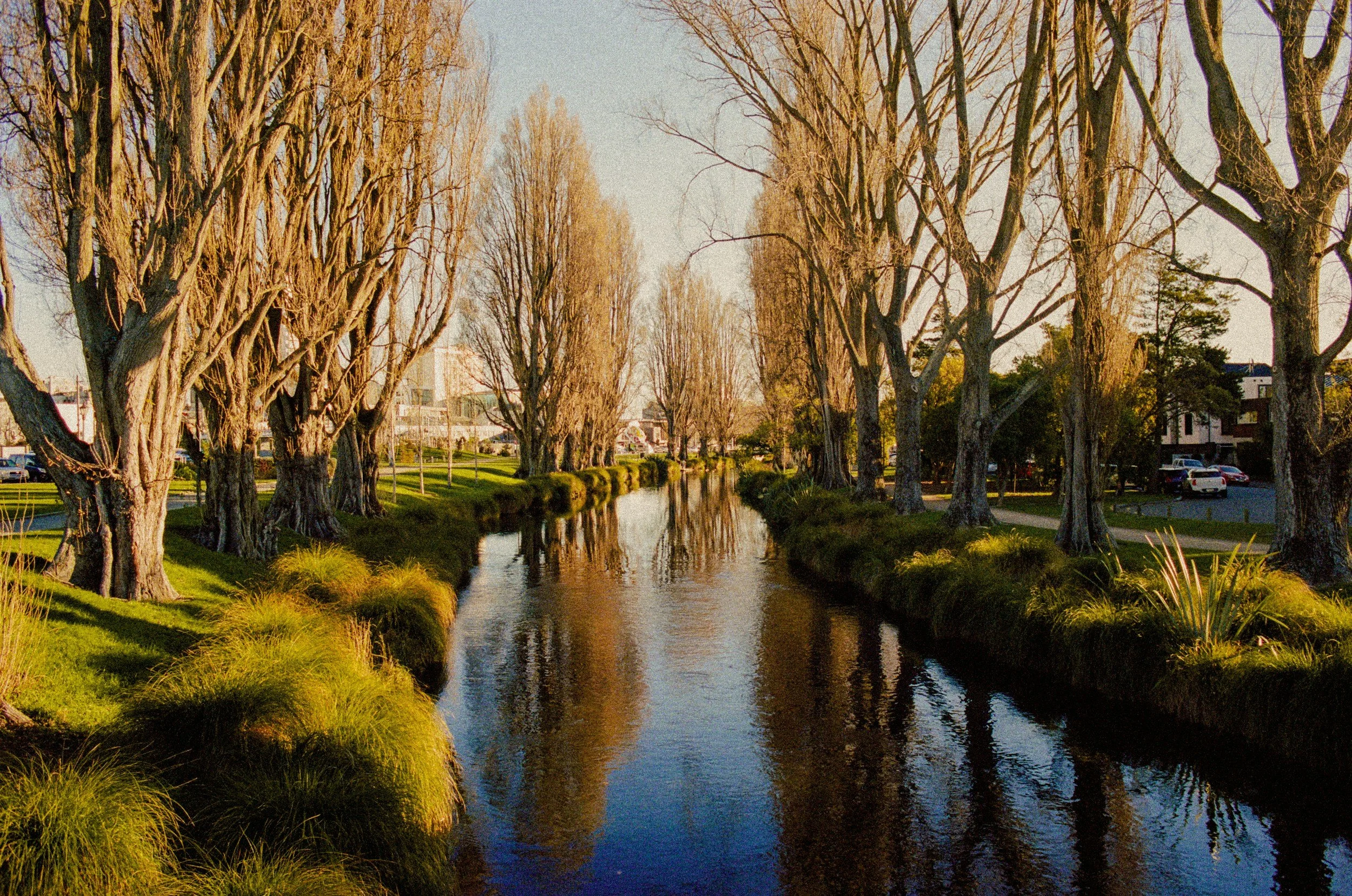 A peaceful scene of a small river lined with leafless trees during sunset, with houses and parked cars in the background.