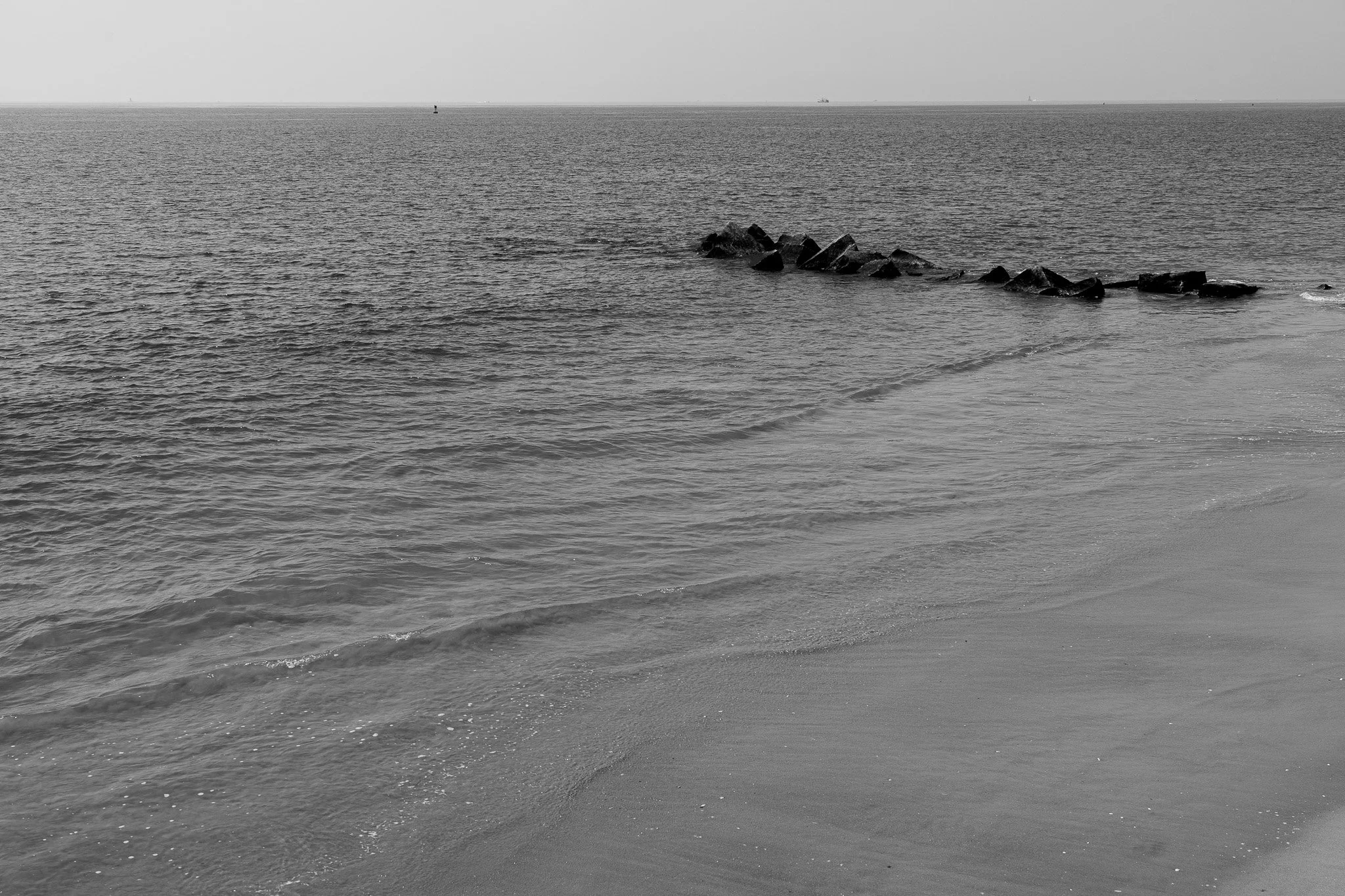 DSC00495.jpg