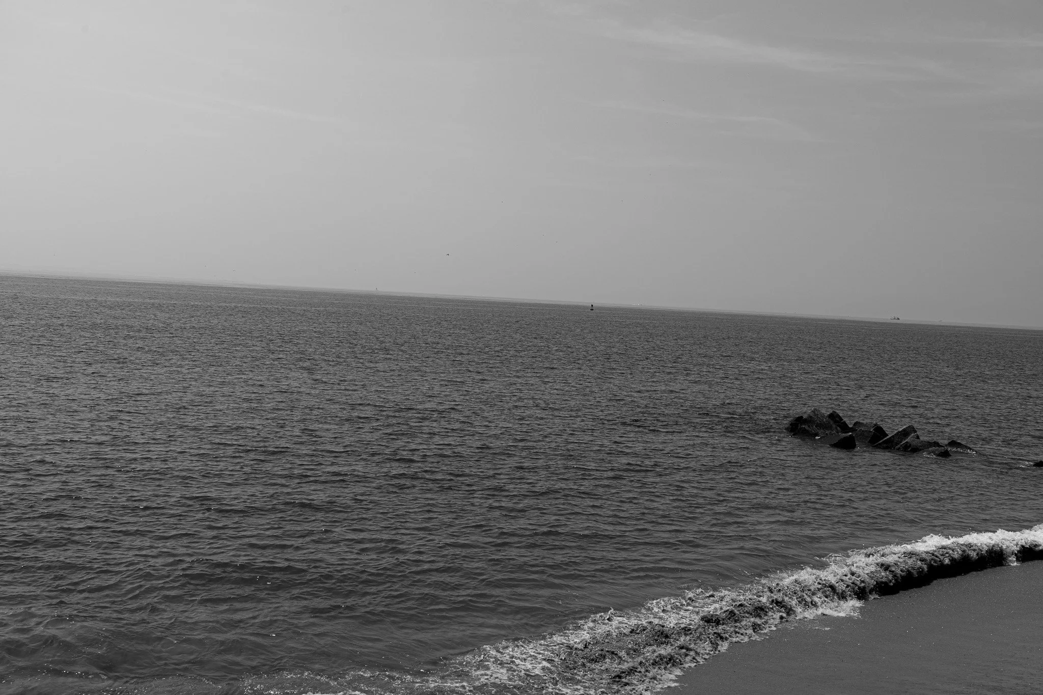 DSC00496.jpg