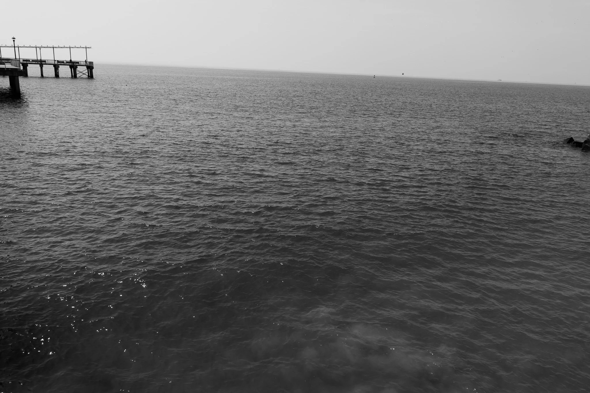 DSC00499.jpg