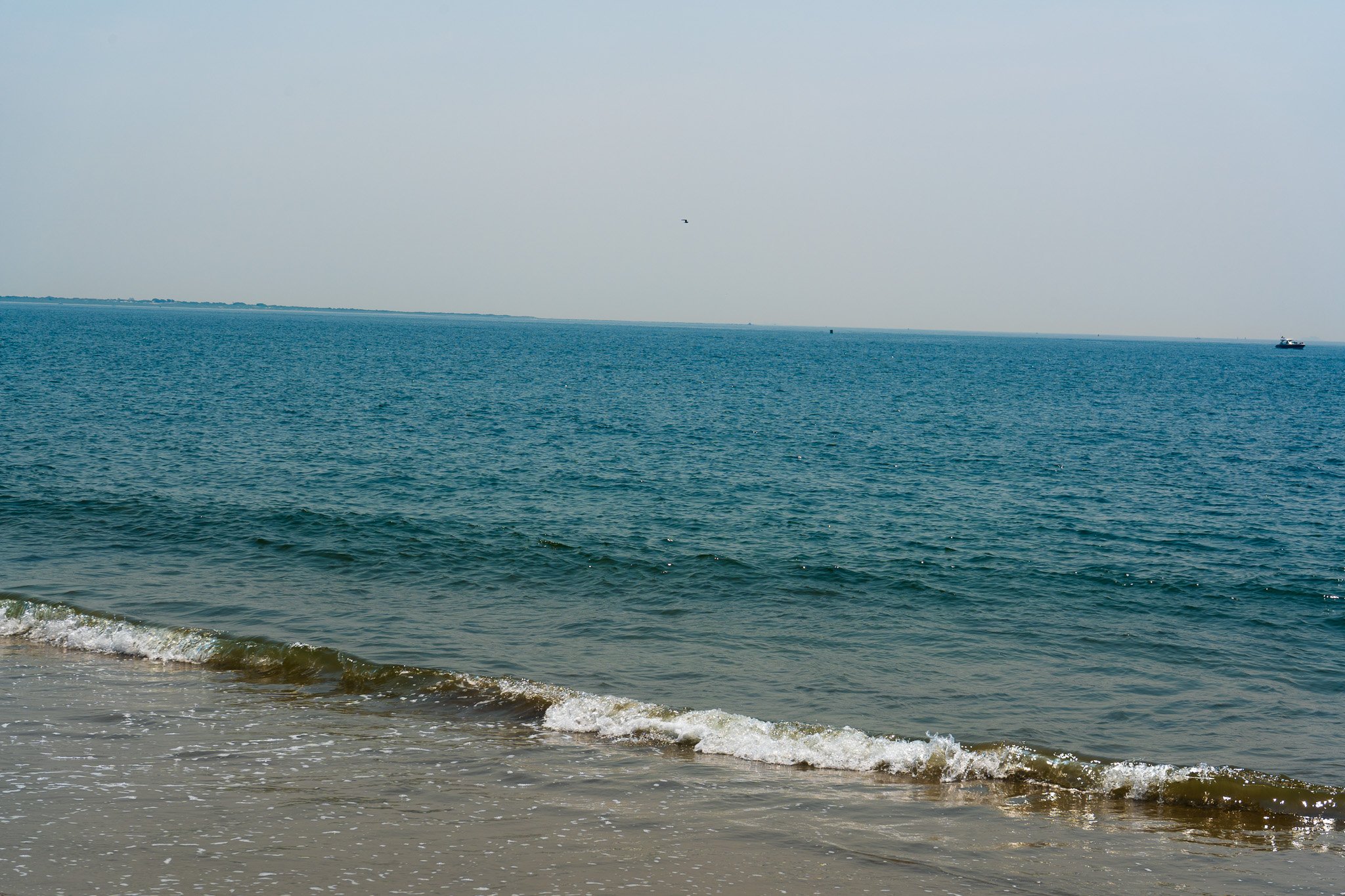 DSC00602.jpg