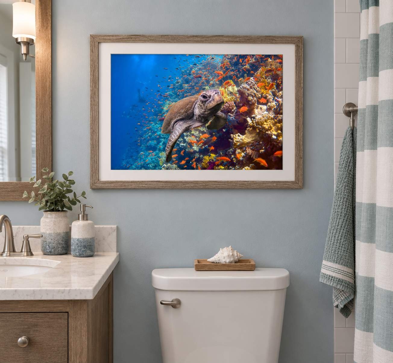 Hawksbill Turtle on Jacksons Reef - Red Sea - Framed in a Bathroom.jpg
