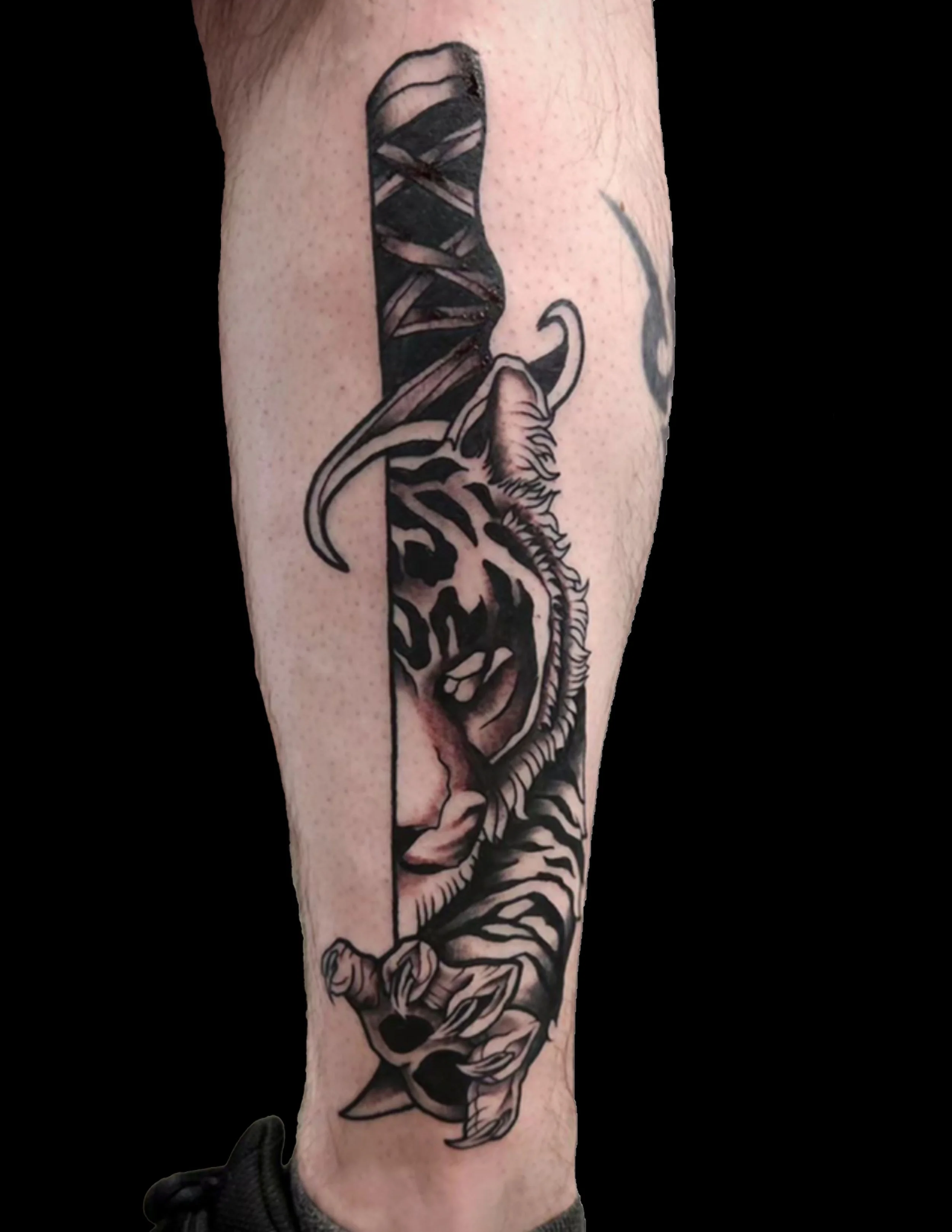 A black and gray tattoo of a tiger sitting on the ground, with its tail curled and head slightly turned to the side, positioned on a person's arm.