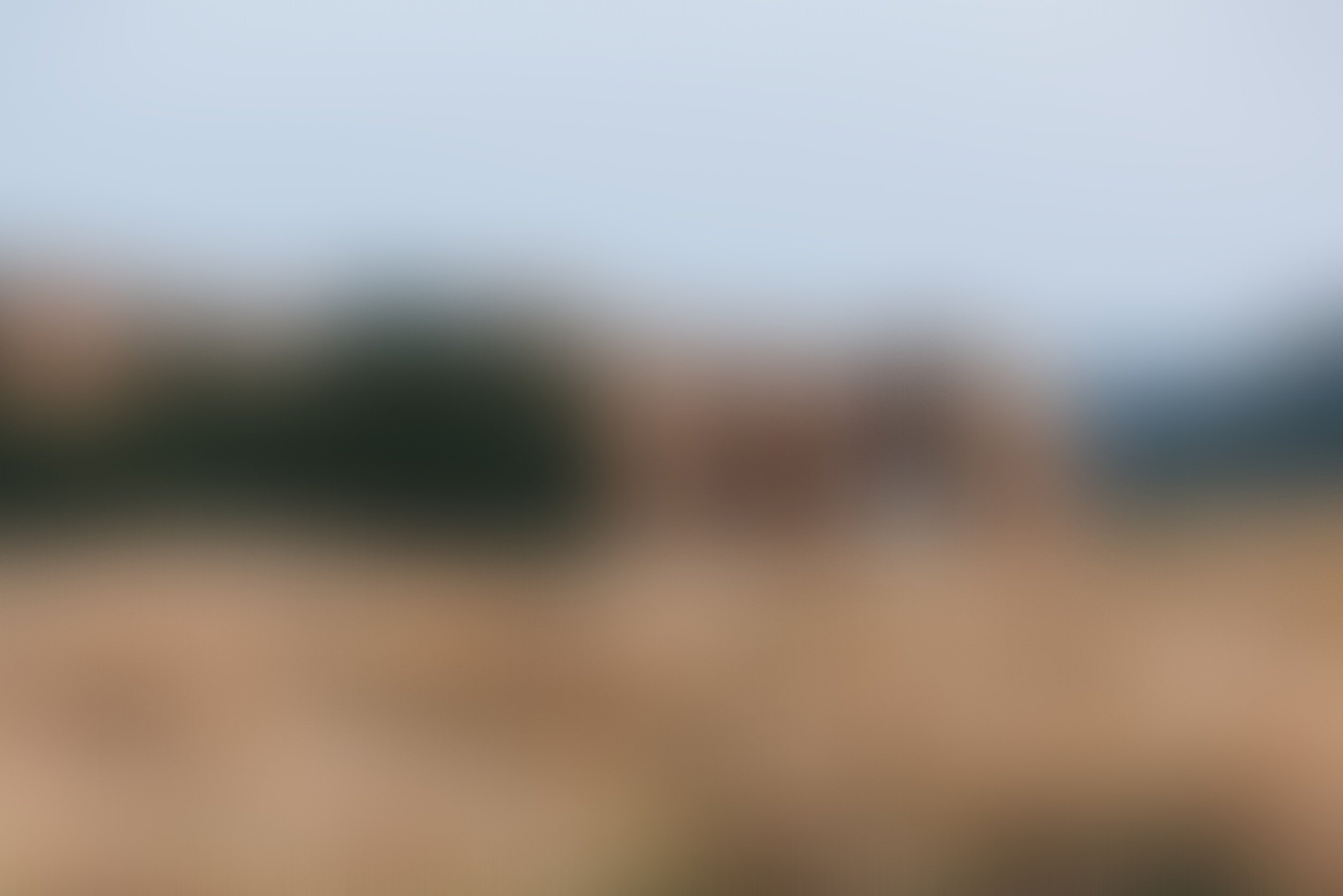 A blurred background with indistinct colors and shapes.