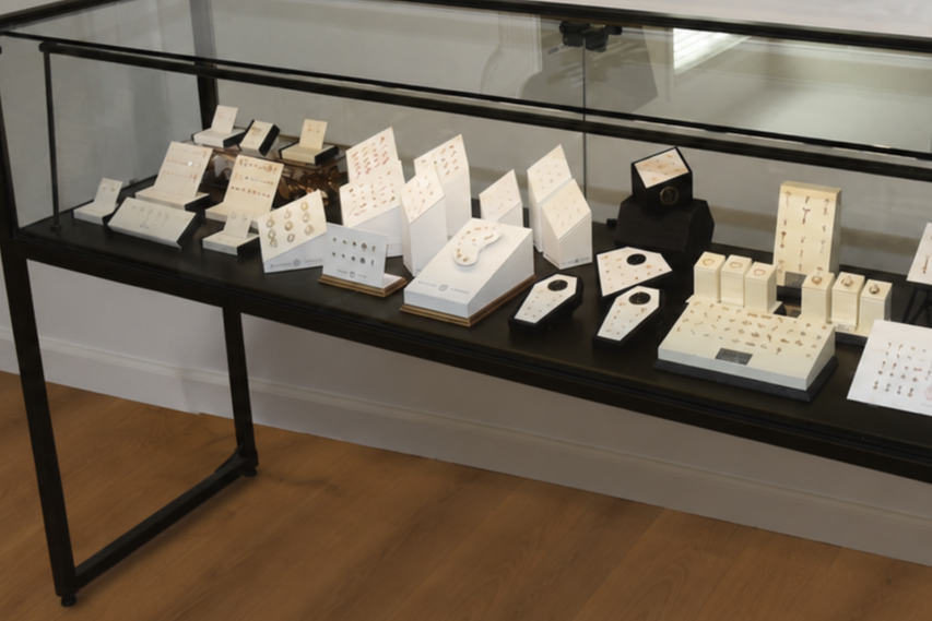 Display case containing jewelry, watches, and accessories on white stands and black bases.
