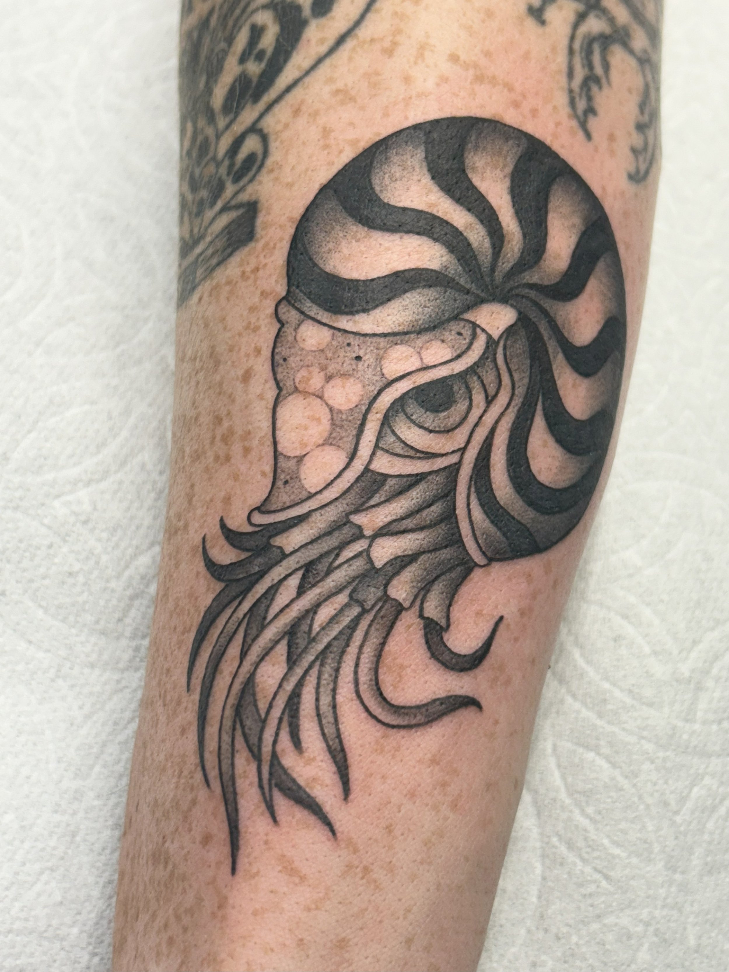 Black outlining tattoo of a squid with long tentacles on a person's arm.
