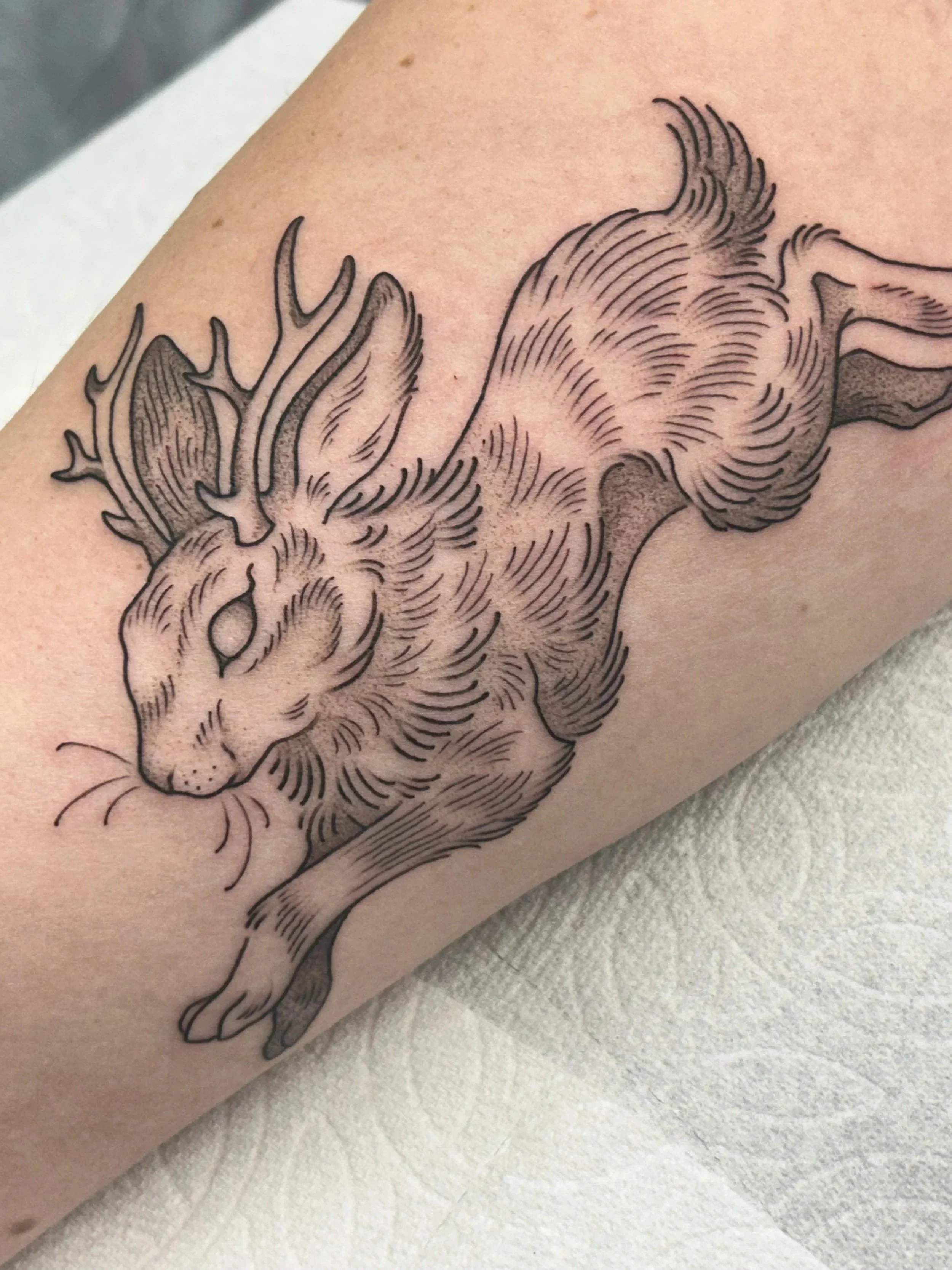 Black line drawing tattoo of a cat with intricate fur and whisker details, located on a person's arm.