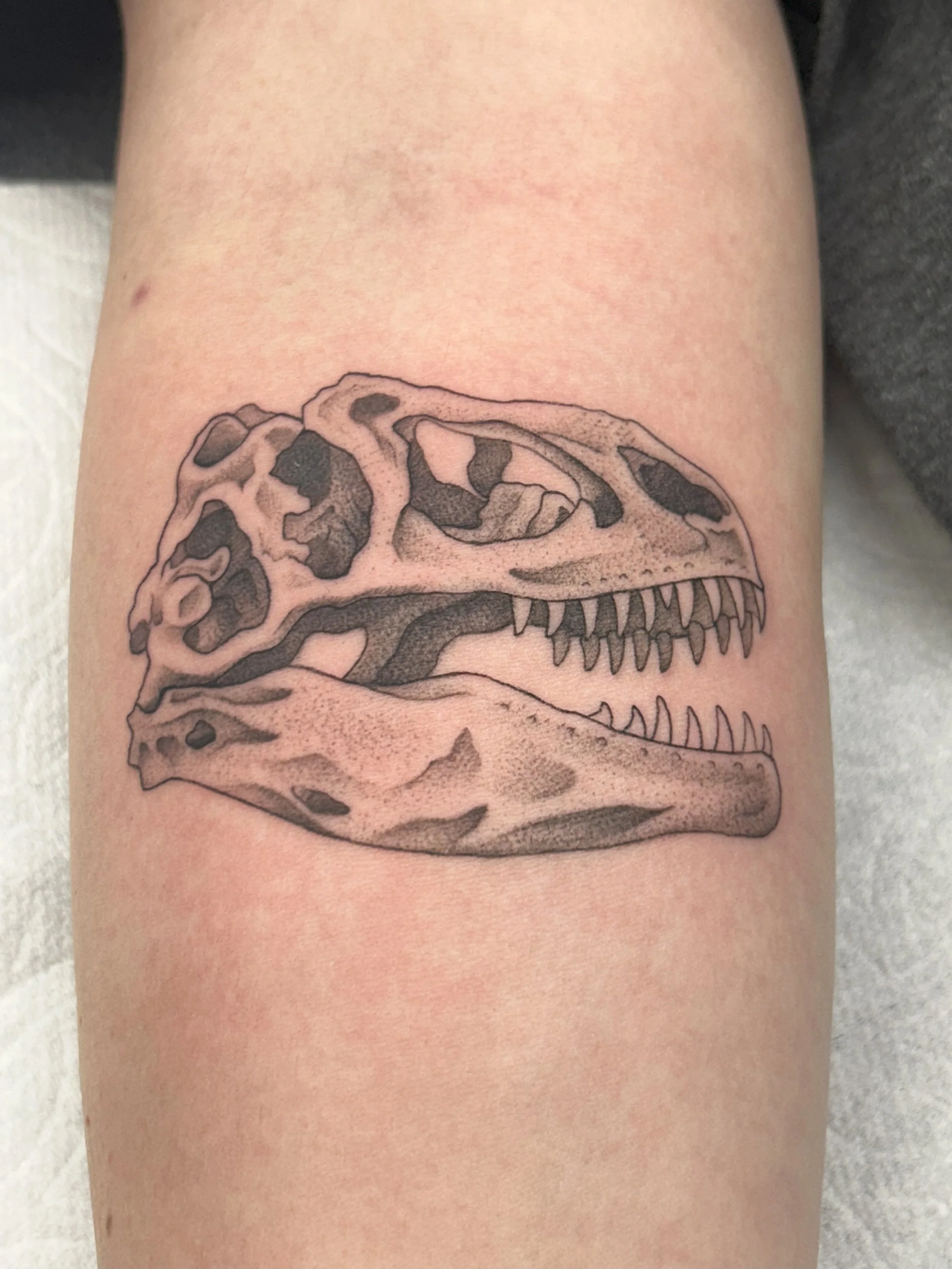 Tattoo of a dinosaur skull on a person's upper arm.