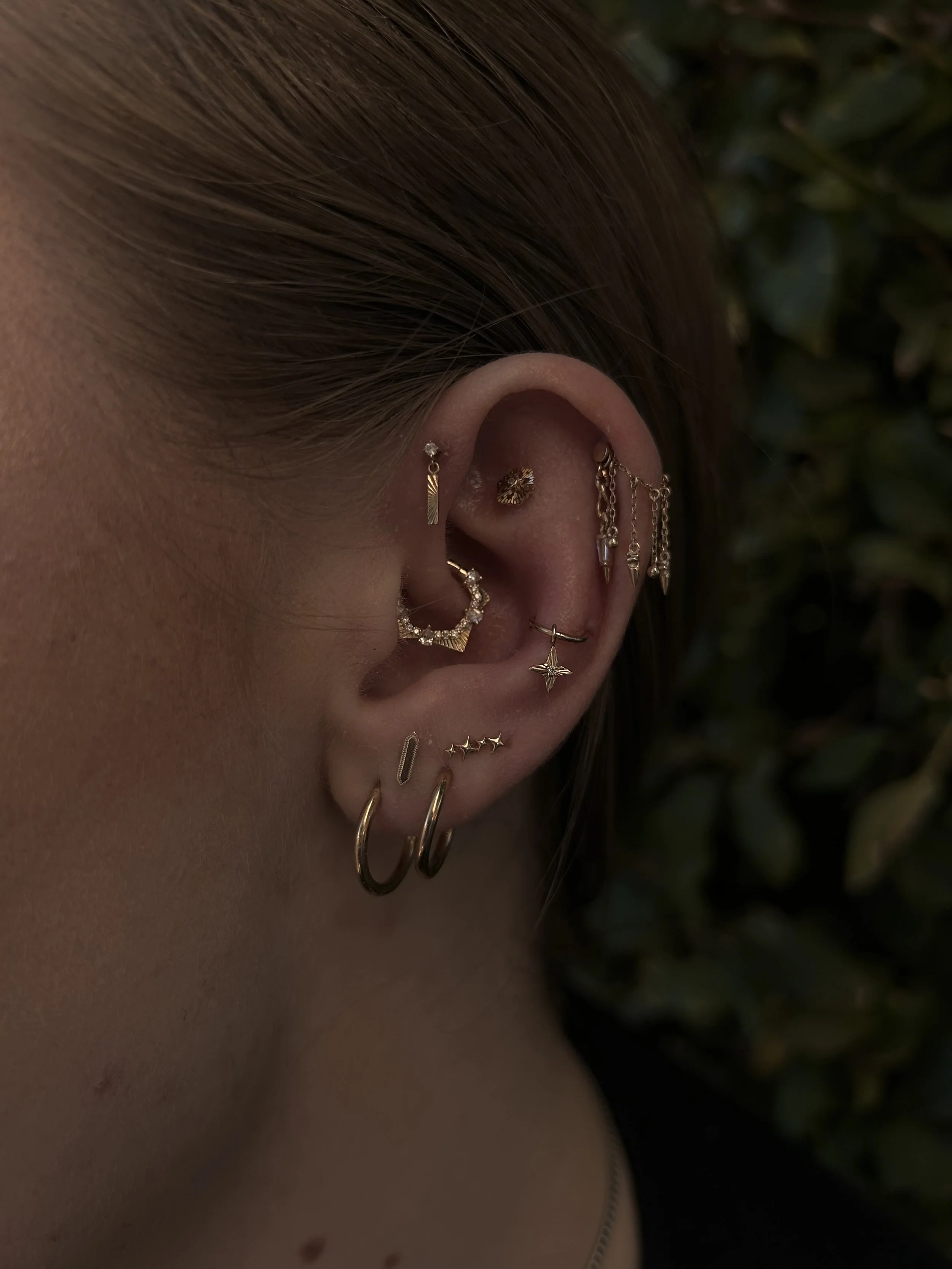 Close-up of a person's ear with multiple earrings, including gold hoops, chains, and studs, against a dark background with green foliage.