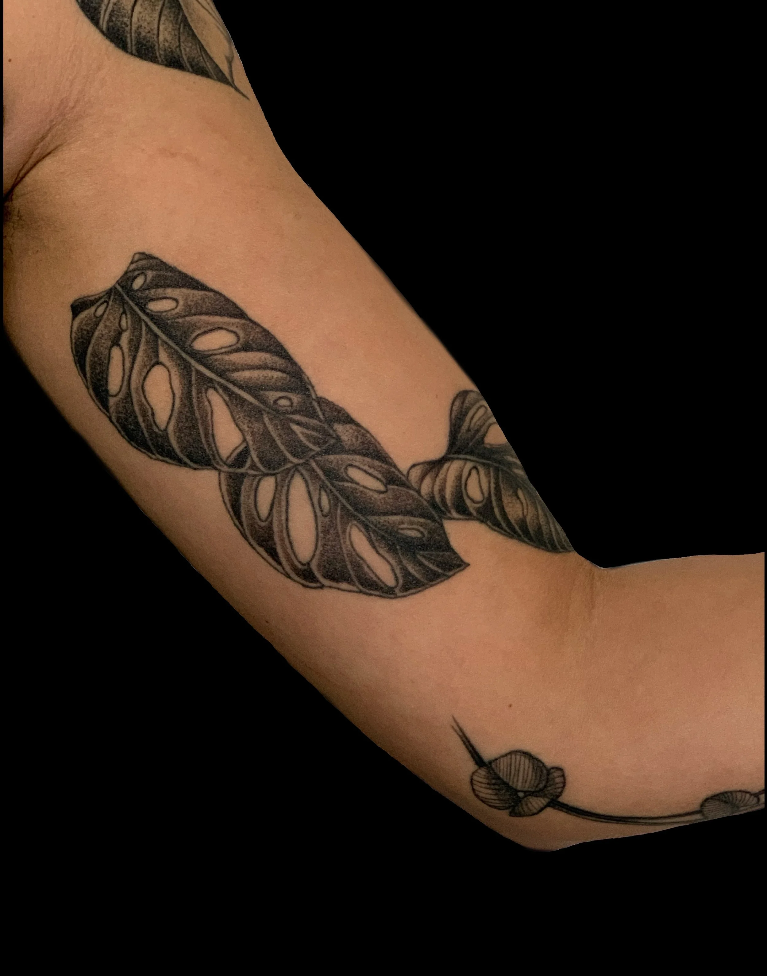 Close-up of a person's arm with a tattoo of a leaf and a separate tattoo of a small flower or plant.