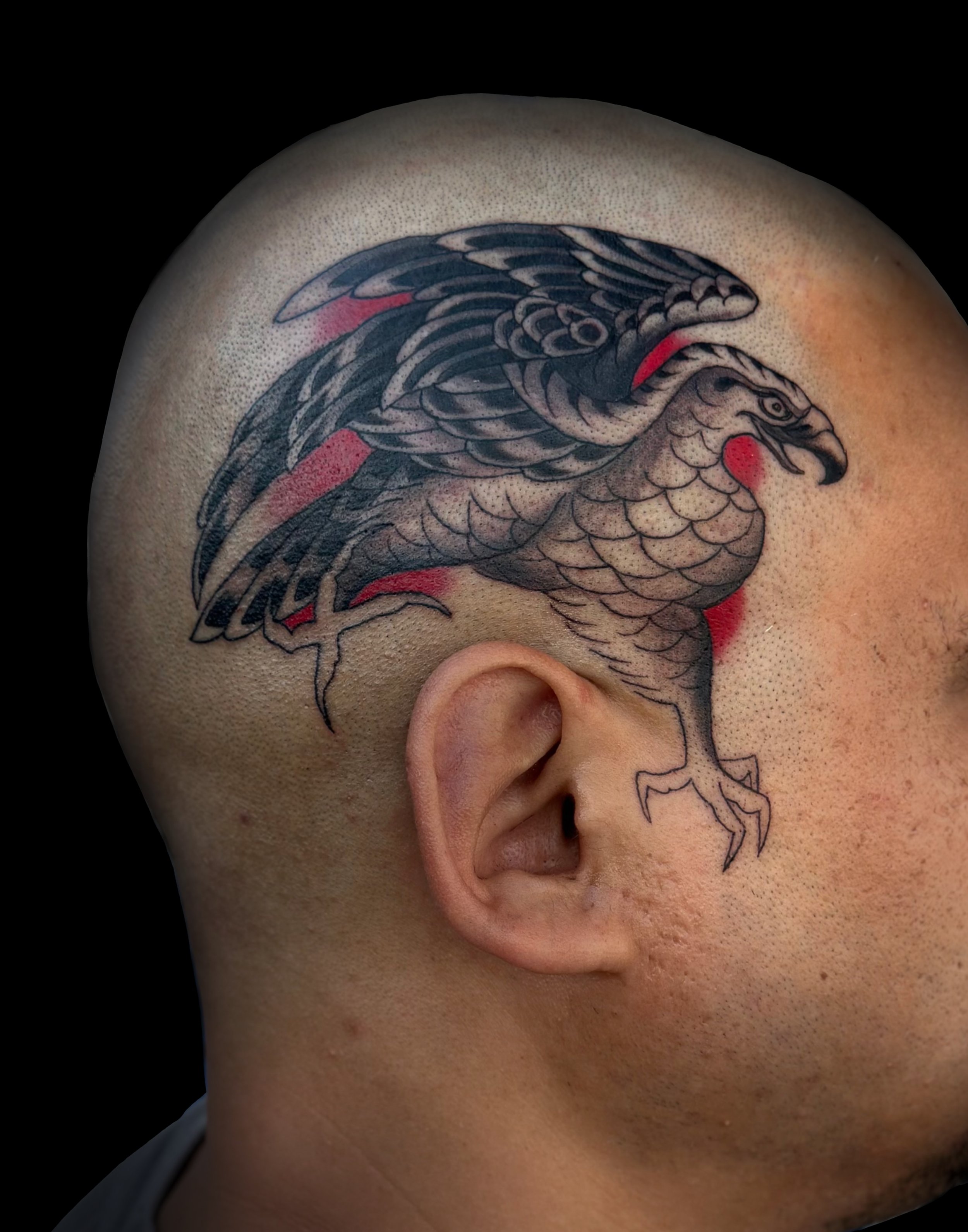 Tattoo of a bird, resembling a hawk or falcon, with black, gray, and red ink, located behind the person's ear on the side of their head.