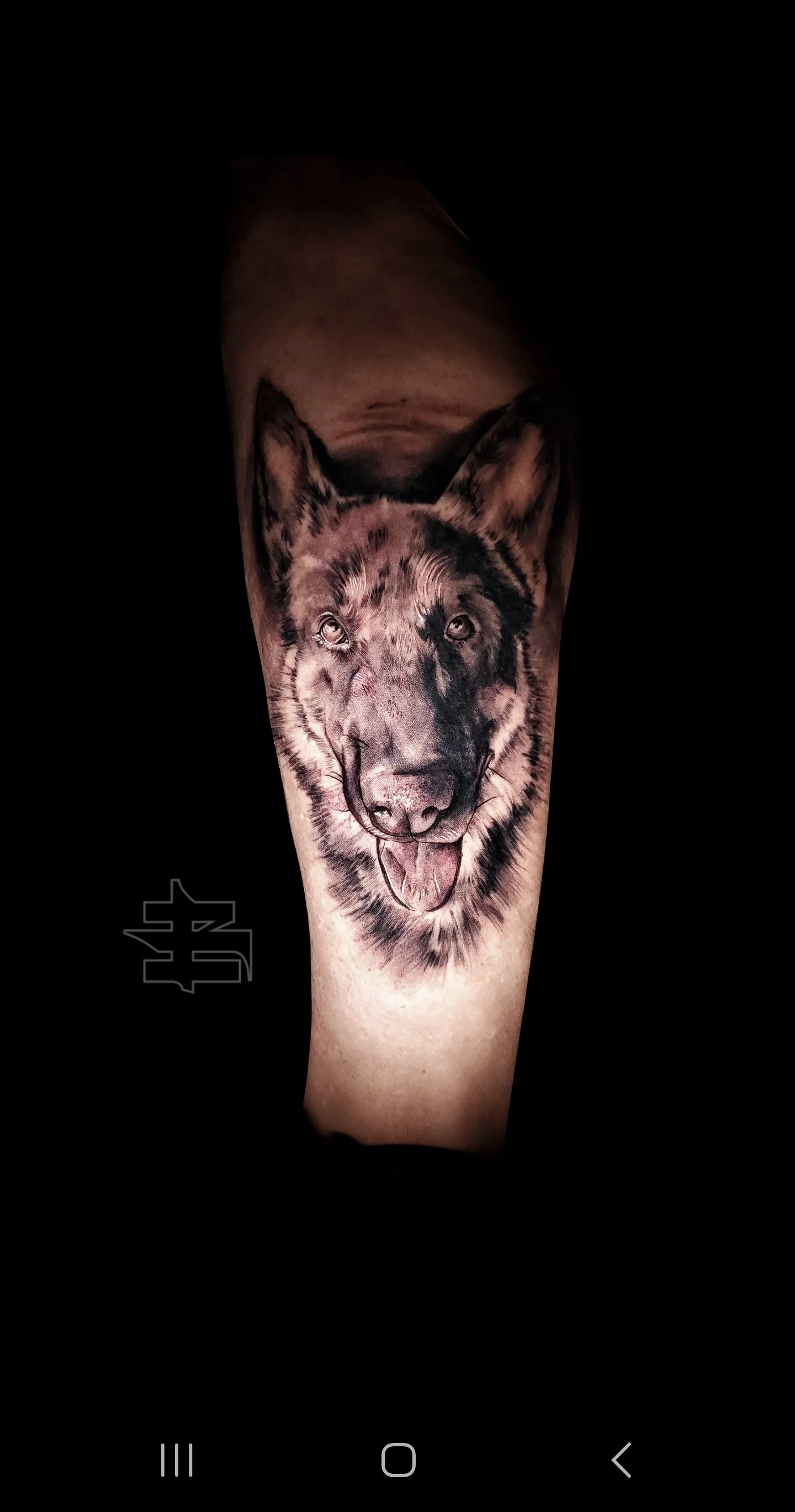 Tattoo of a realistic wolf's face on a person's arm.
