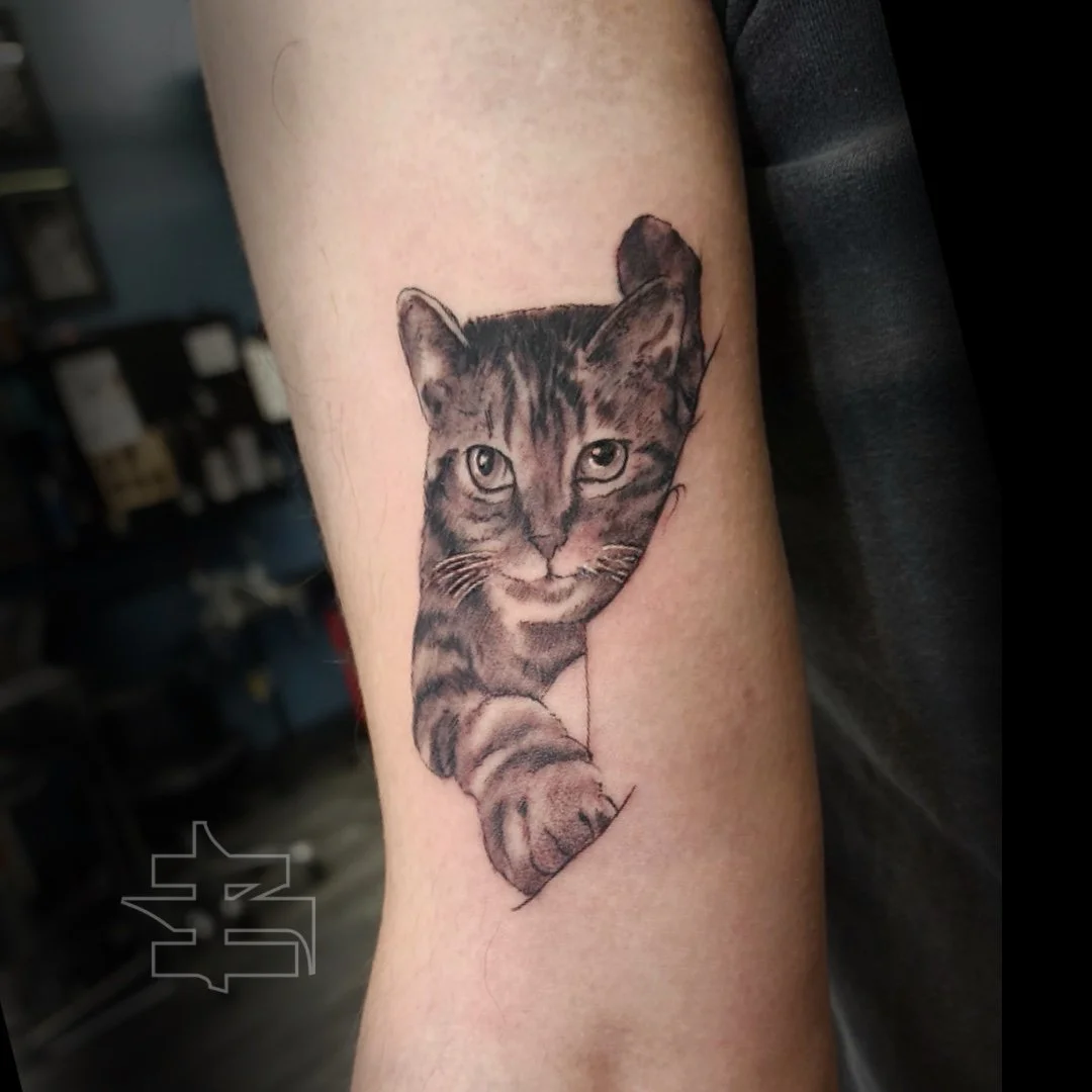 Tattoo of a realistic cat's face and paw on person's arm, with parts of the design appearing as if it is emerging from the skin.