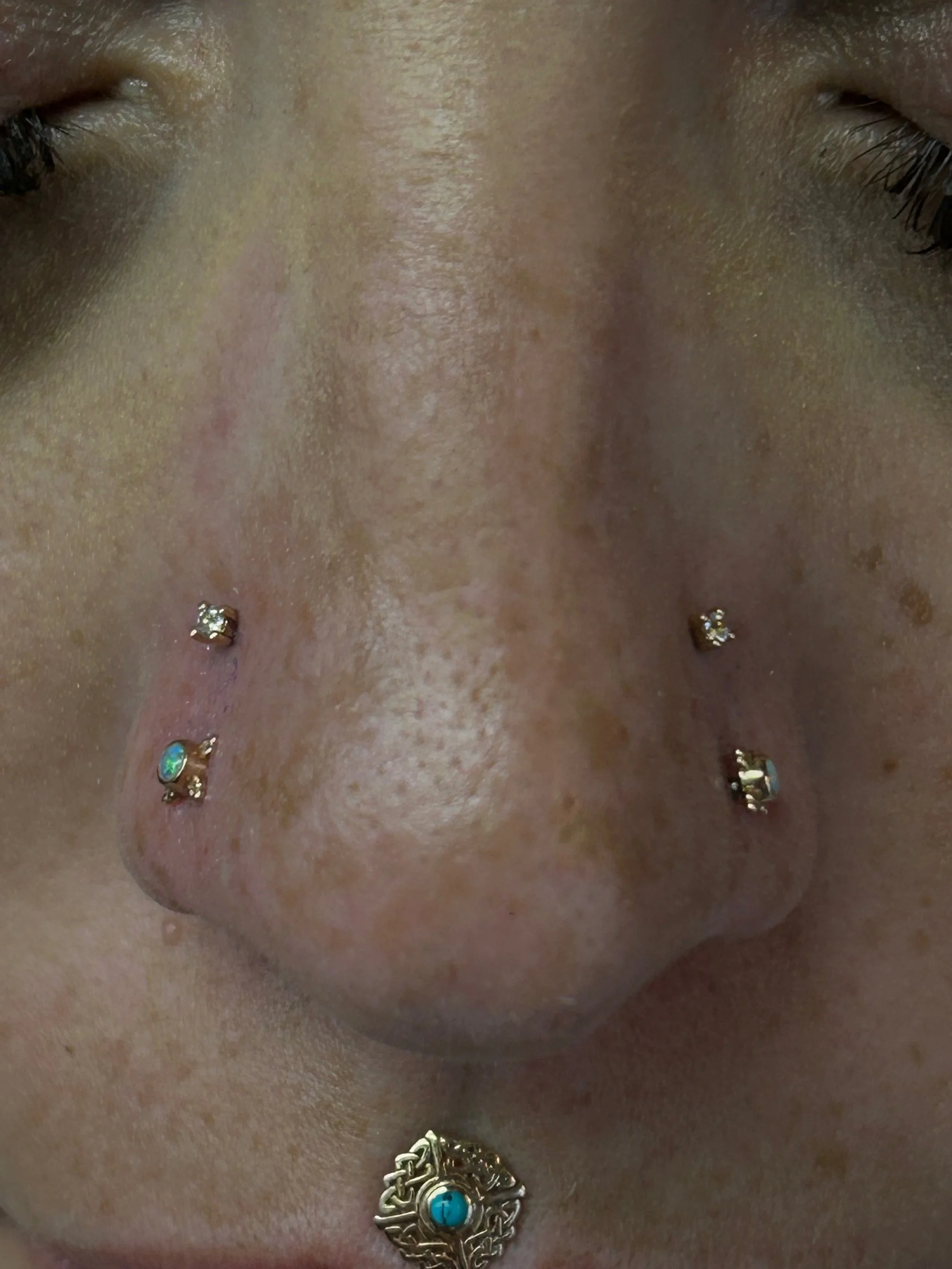 Close-up of a person's nose and upper lip with multiple facial piercings, including a septum ring, nostril piercings with jewelry, and a labret piercing with a decorative element.