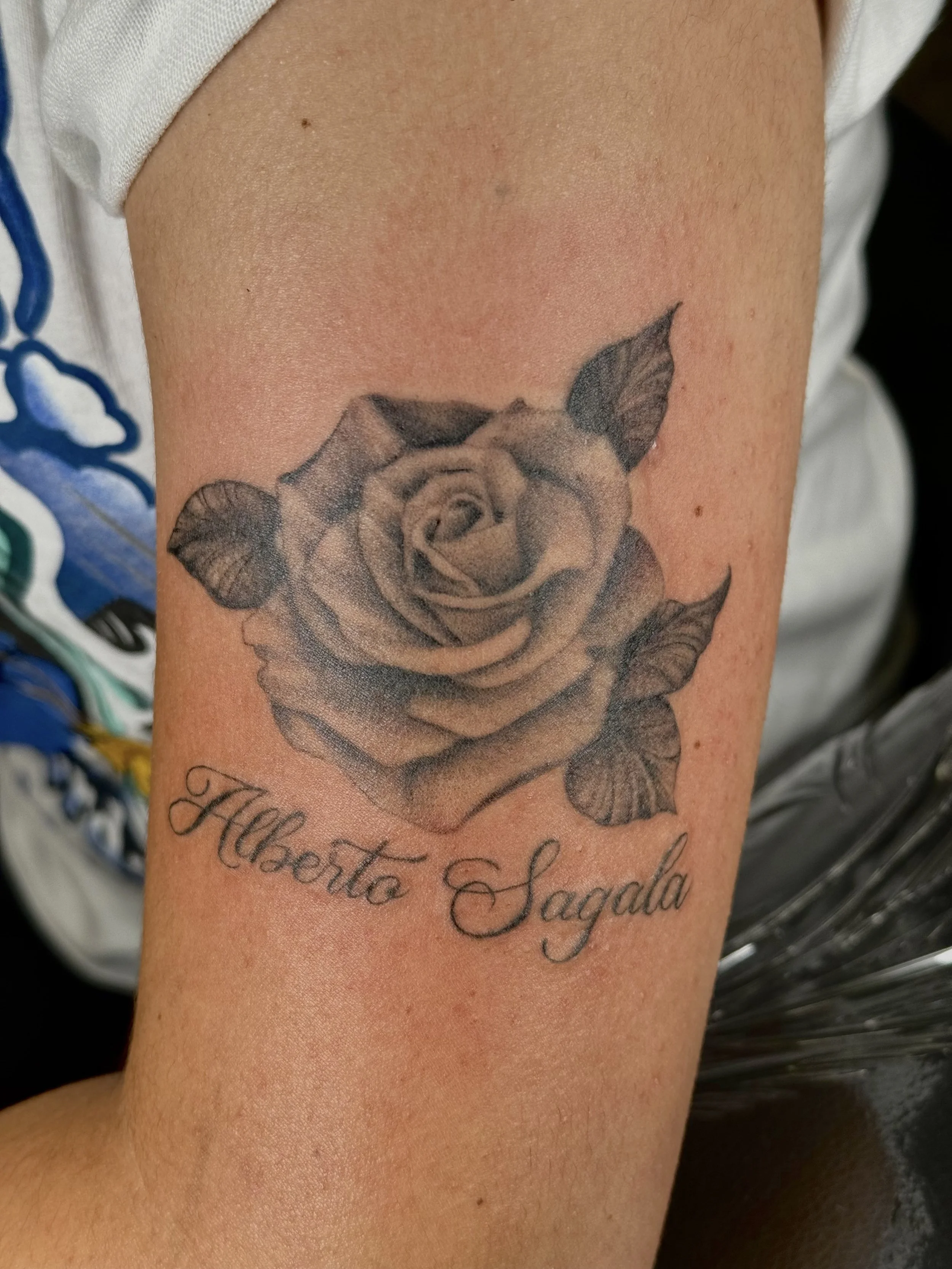 Tattoo of a detailed rose flower with leaves on a person's upper arm, with text underneath that reads "Hellenite Sagrada."