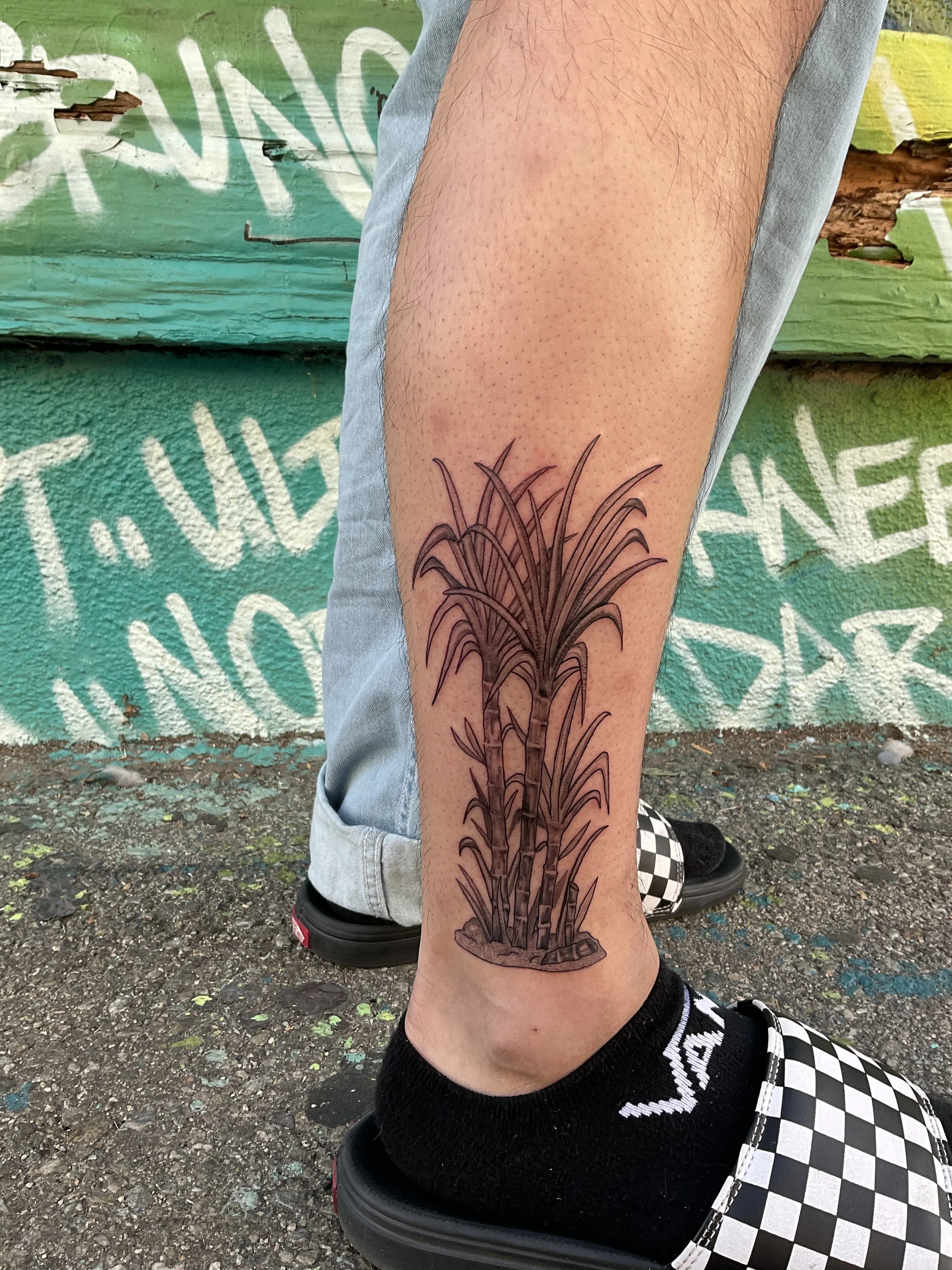 Tattoo of a tall grass plant on a person's calf with light skin, wearing black and white checkered shoes, standing on a rough asphalt ground with a graffitied green wall behind.
