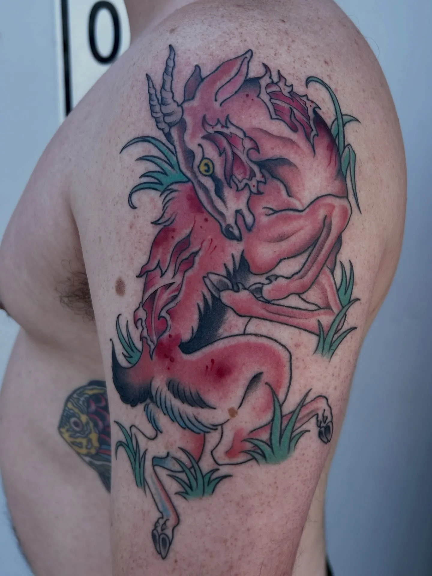 New piece by @punchycats 🪡

#tattoosofig #tattooideas #colortattoos #tattooartists #tattooshop