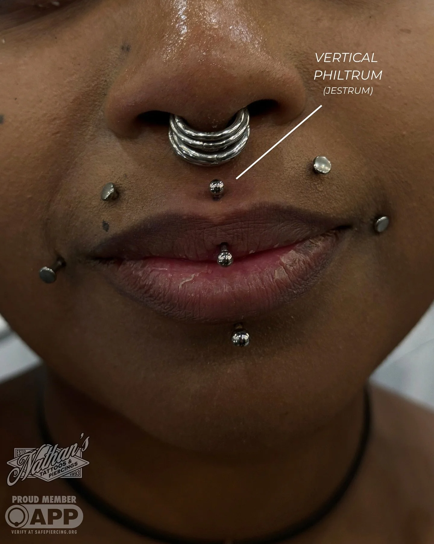 Just a few of the piercings we&rsquo;ve done recently🪡

1. Vertical Philtrum (Jestrum)
2. Tongue Piercing 
3. Stacked Lobe 
4. Angel Fangs
5. Back Dermals 
6. Throat Dermal 
7. Conch
8. Labret 
9. Double Helix 

#piercings #piercingsofig #piercingid