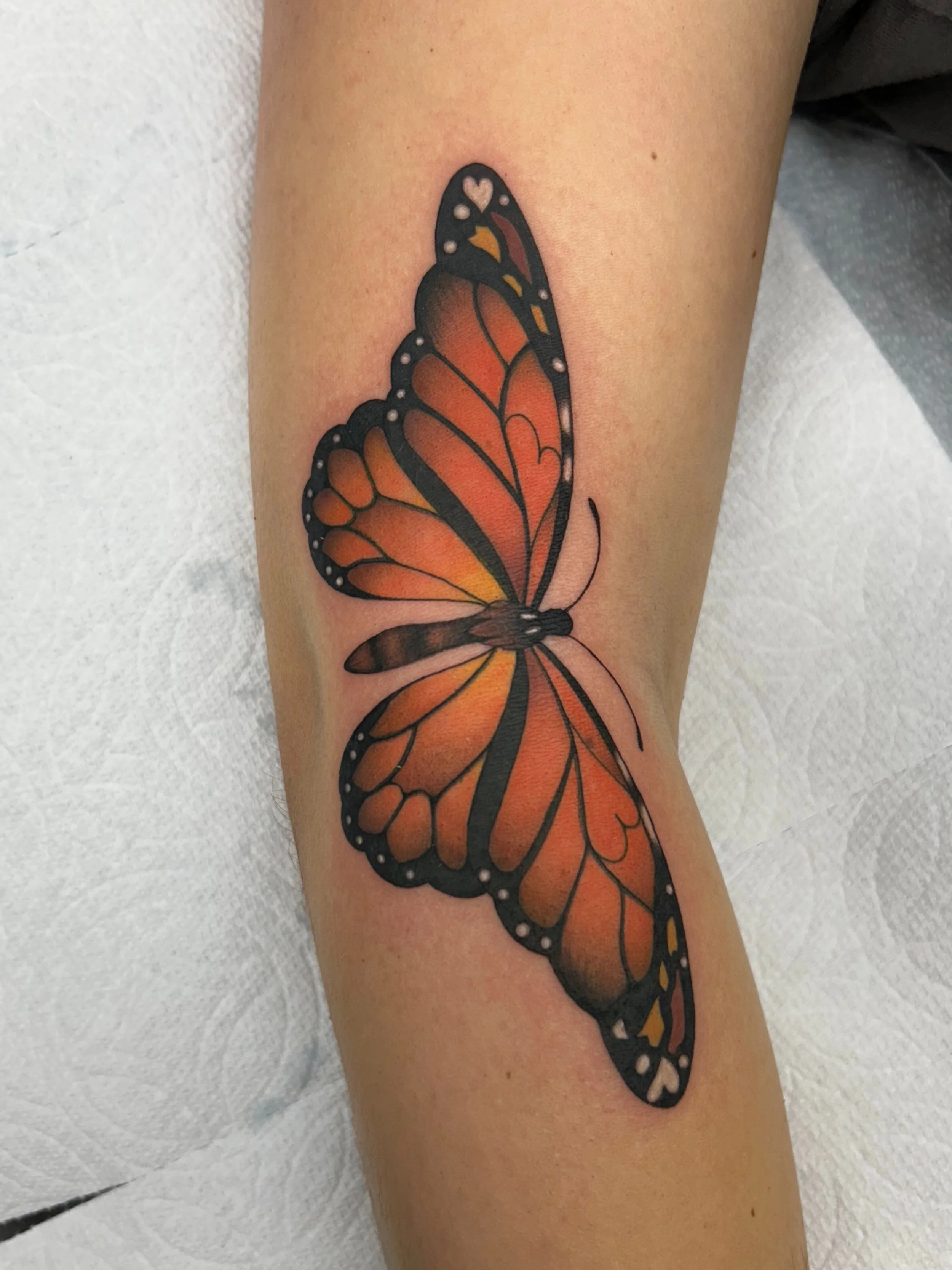 New piece by @punchycats 🦋

#tattoosofig #tattooideas #tattooshop #losangeles #sfvalley