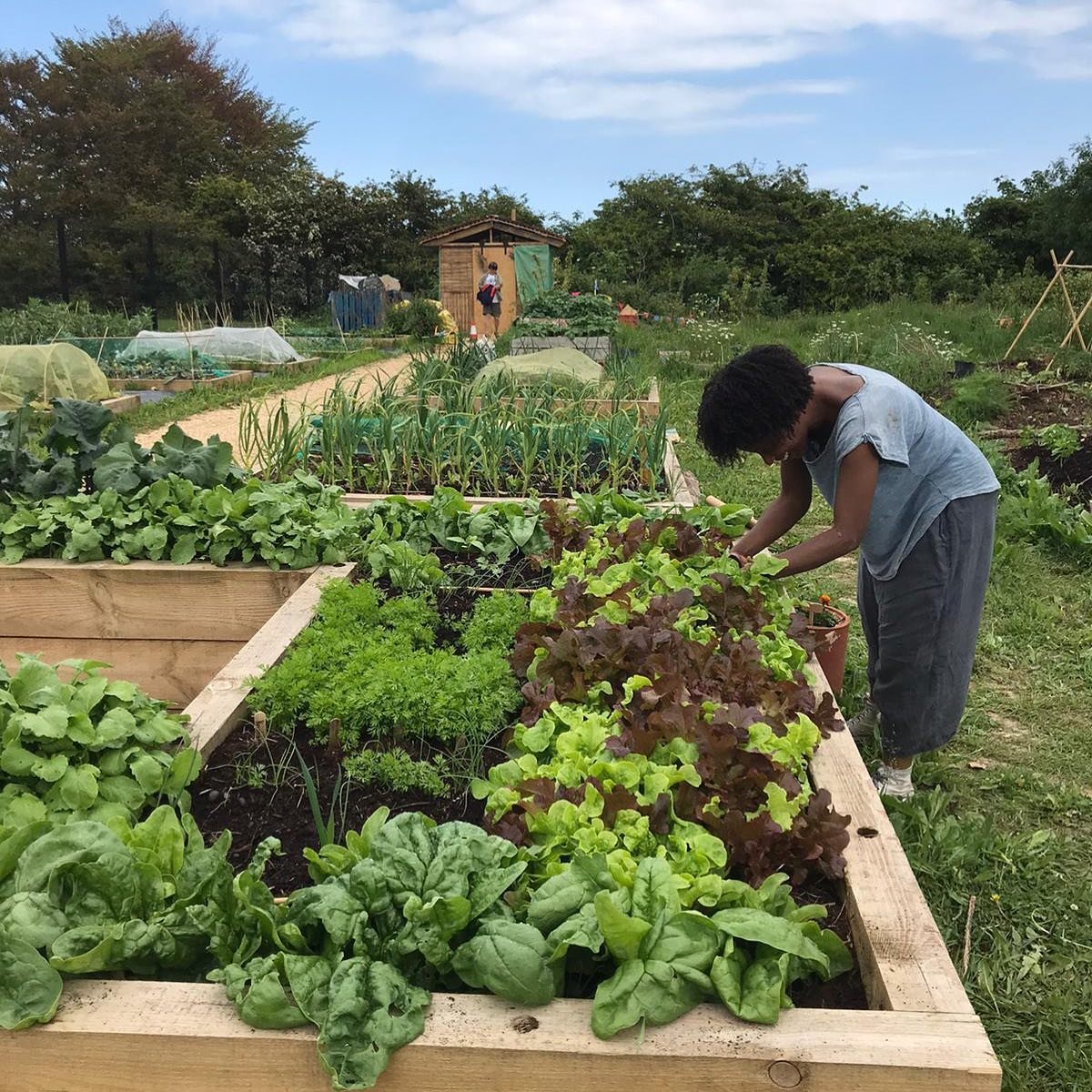The Locavore Growing Project (Didier Rochard)