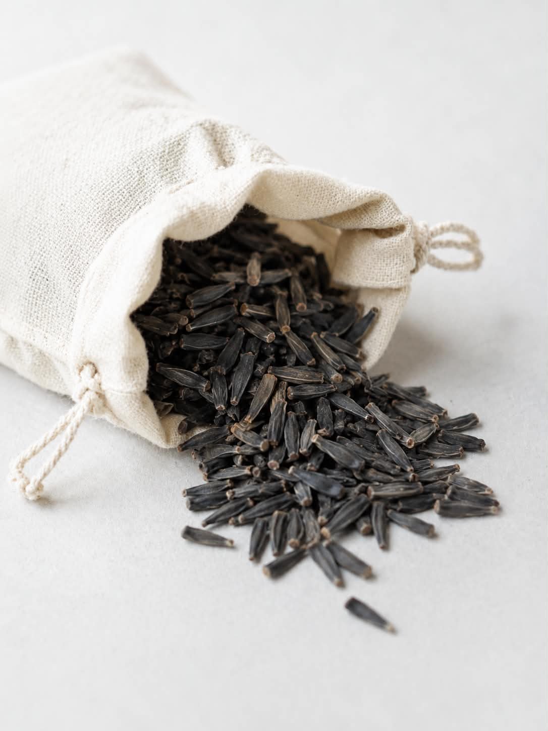 Cafe au Lait seeds