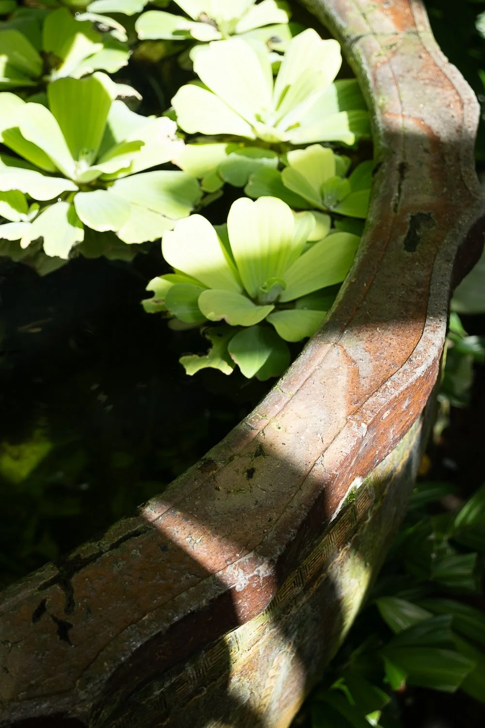 DSCF9175.jpg