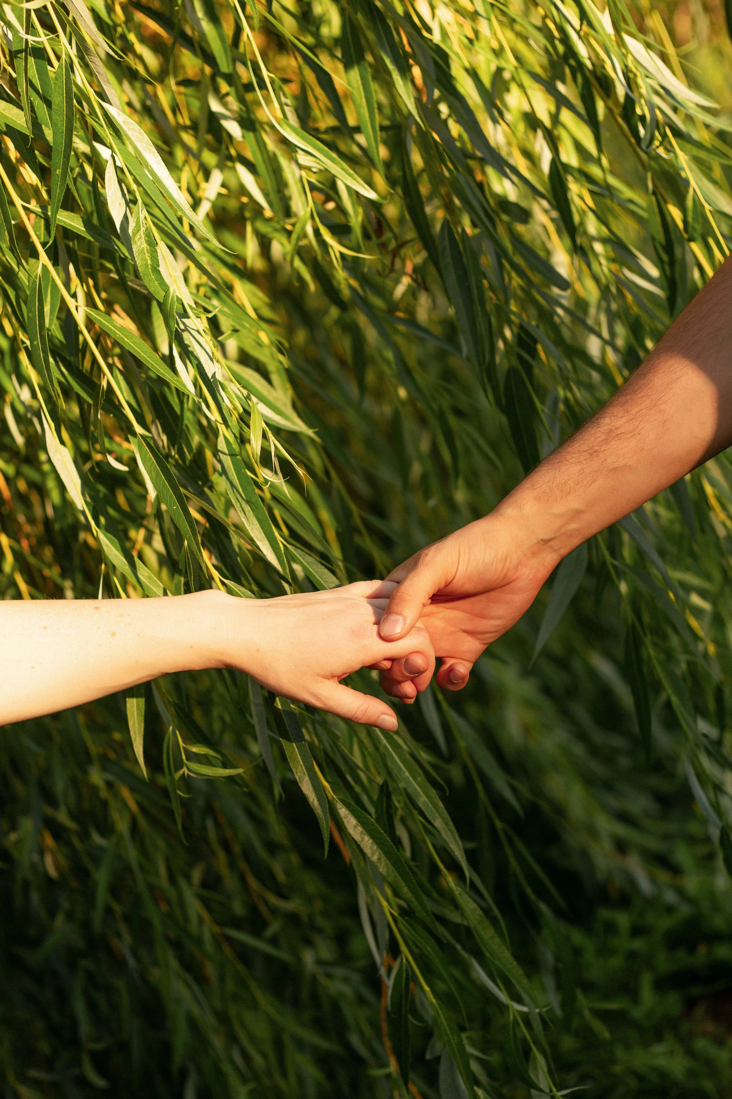 Engagement — M&R