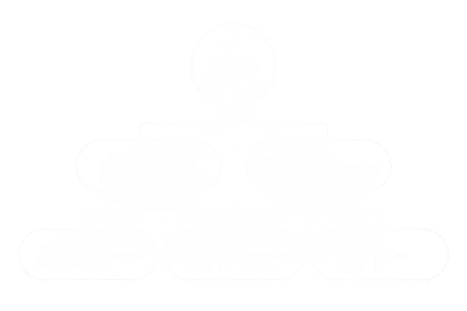 Diagrama de flujo con círculos y rectángulos, que contienen palabras relacionadas con administración y gestión, como 'CFO', 'FP&A', 'Controlling', 'Labour', 'Accounting' y 'Tax'.