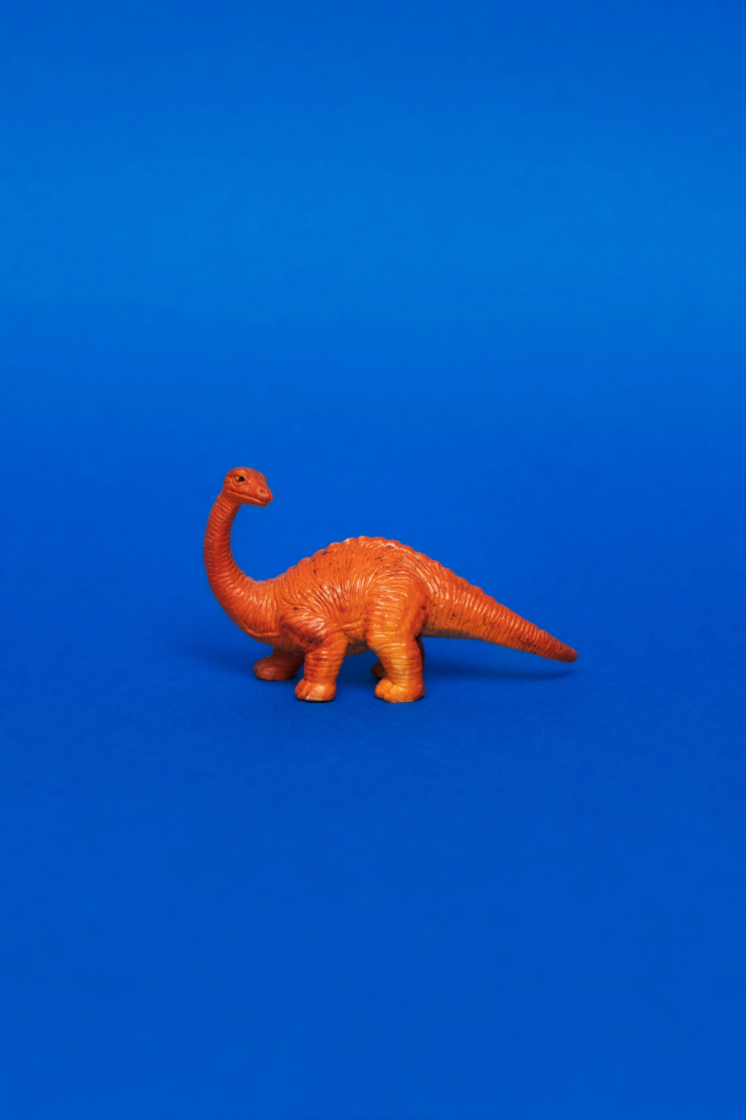 Dessin d'un dinosaure orange en plastique sur un fond bleu.