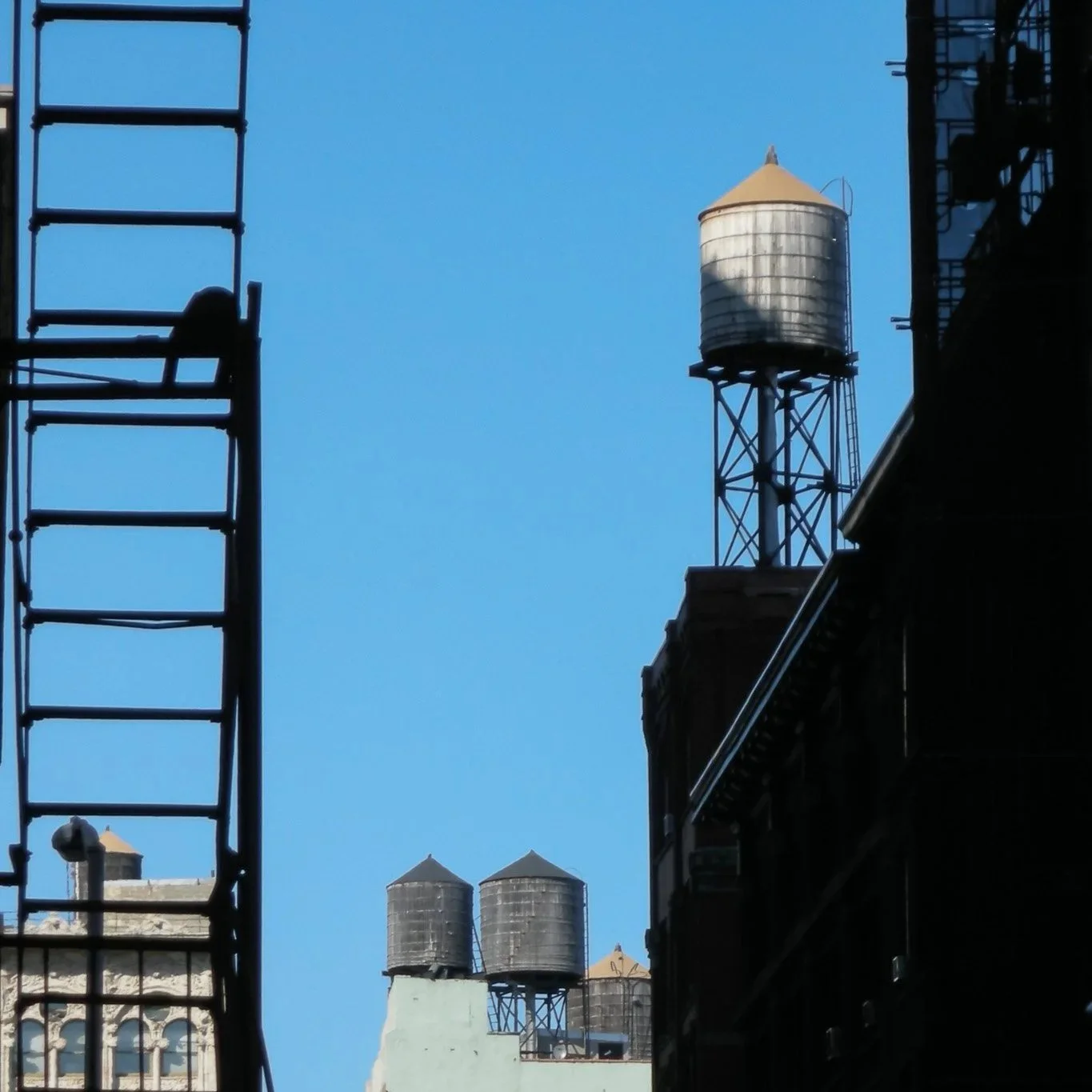 New York Fragments