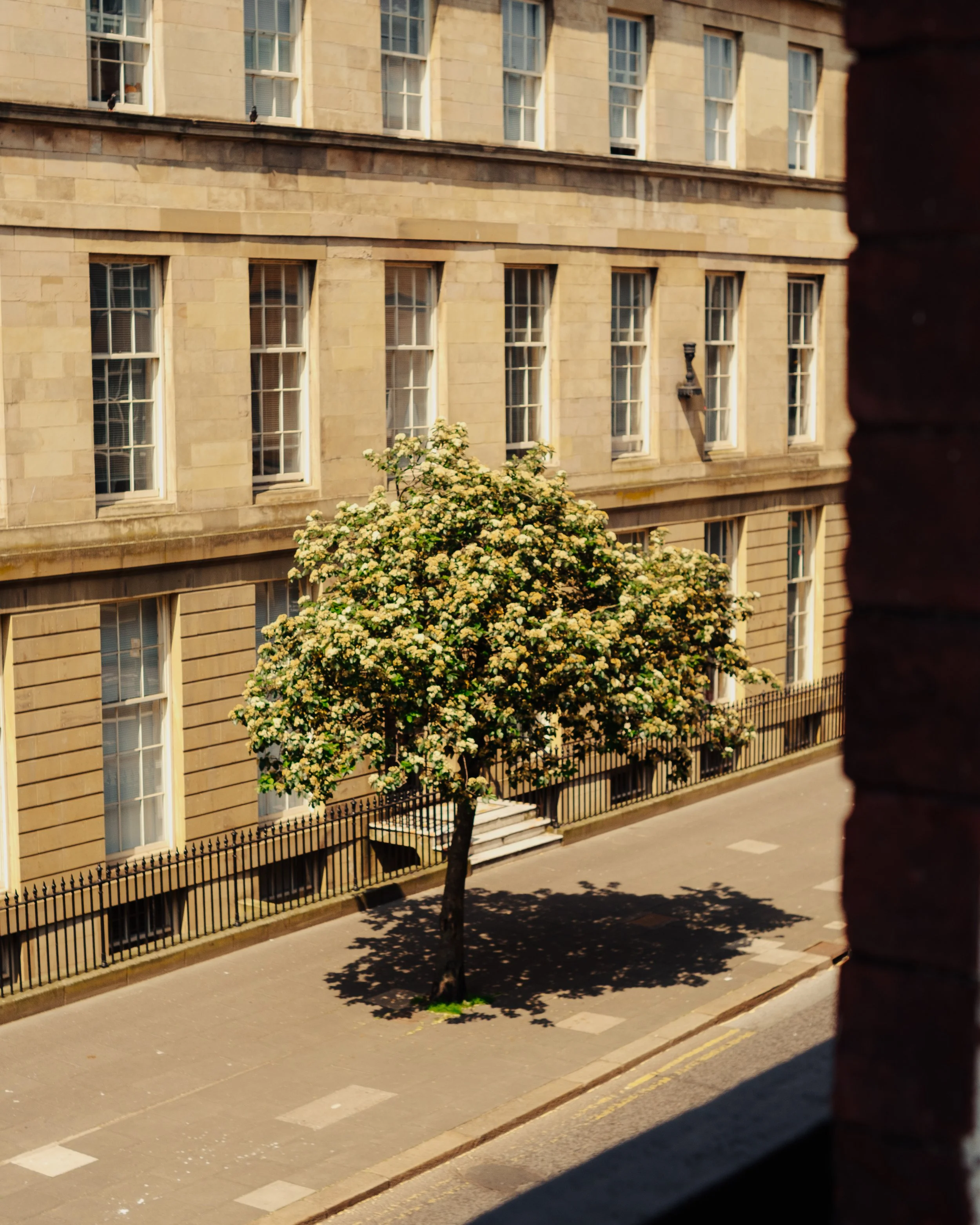 DSCF3645.jpg