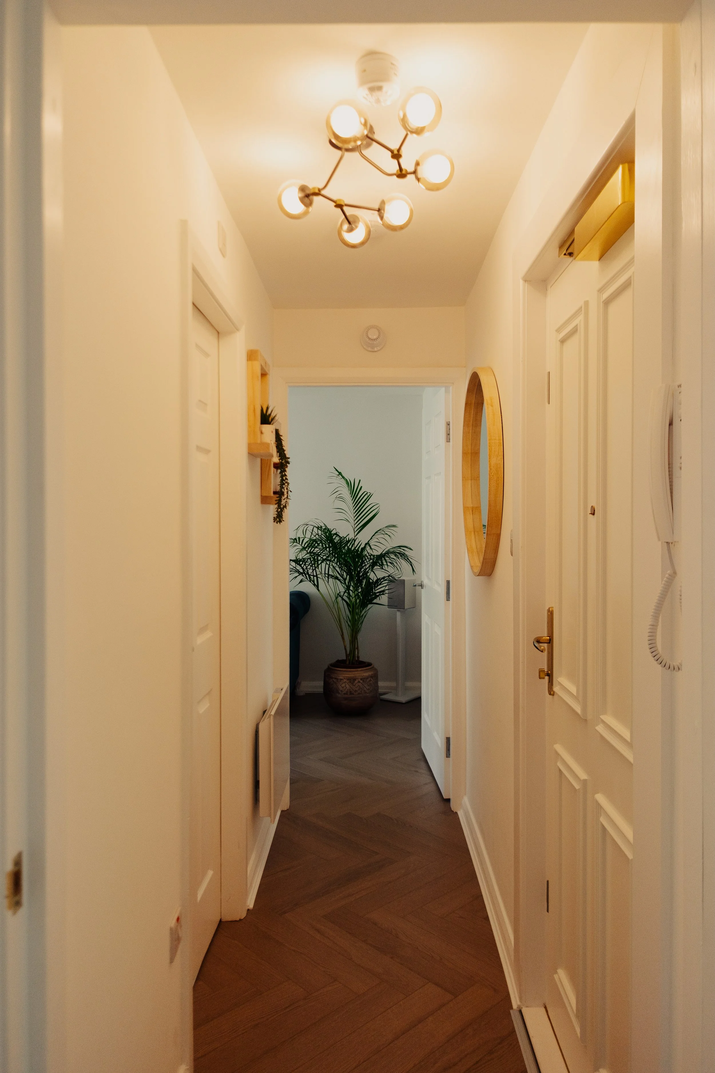 DSCF3586.jpg