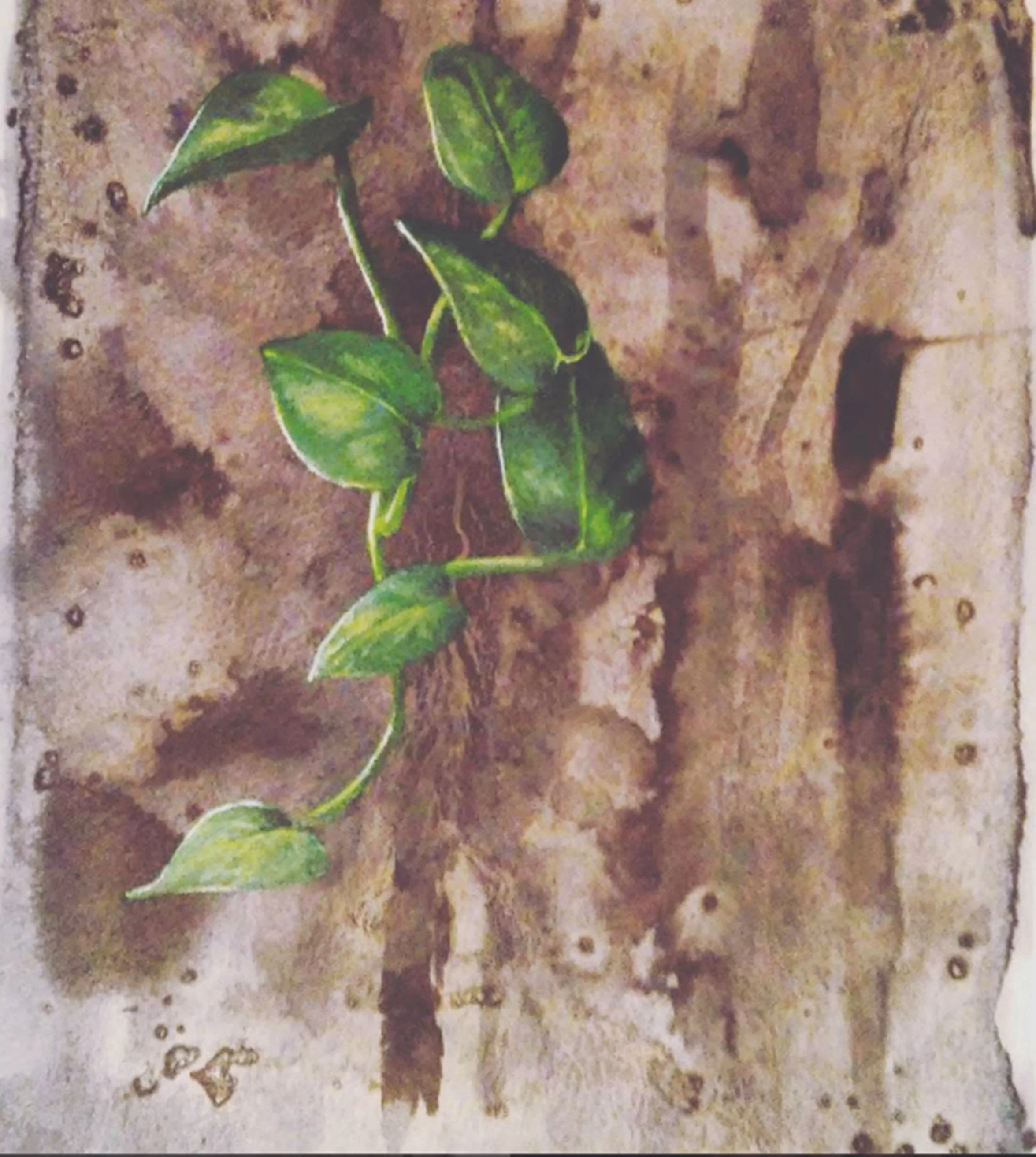 Leaves
Acrylic on paper