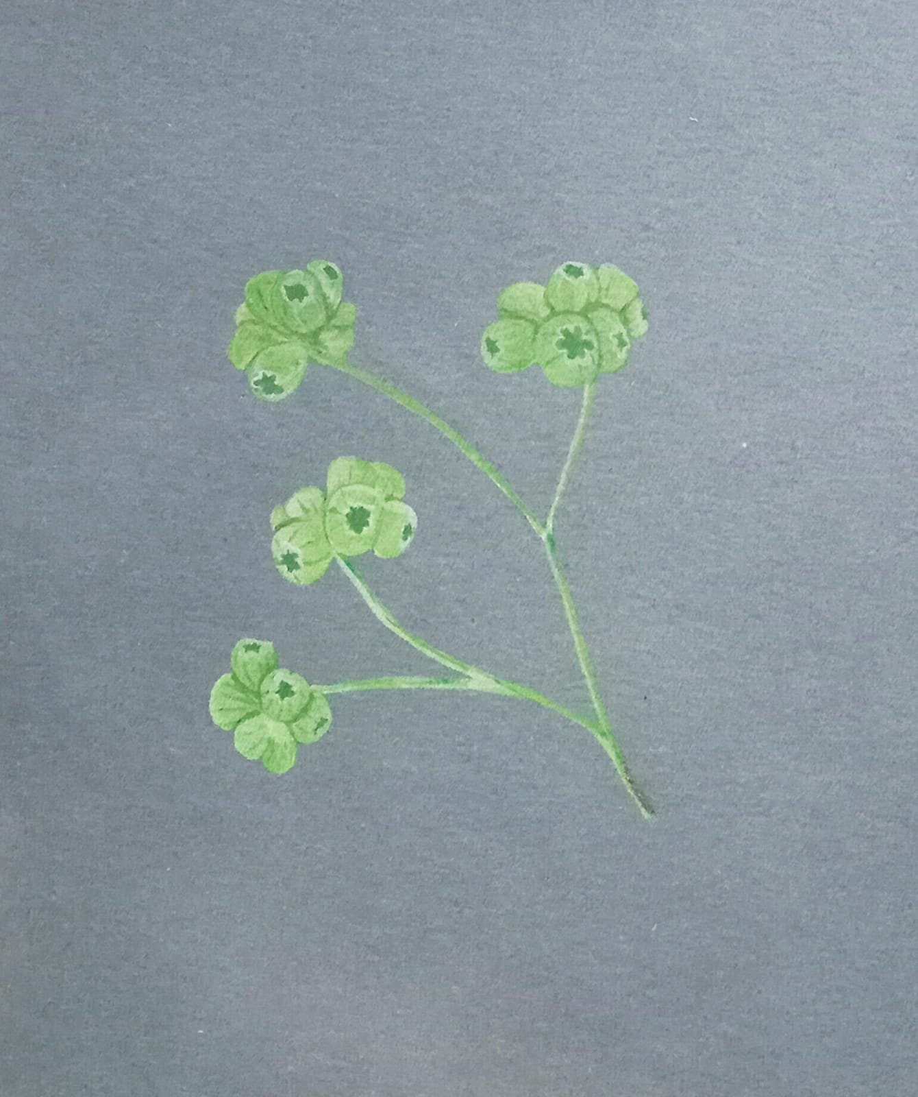 Green
Acrylic on paper