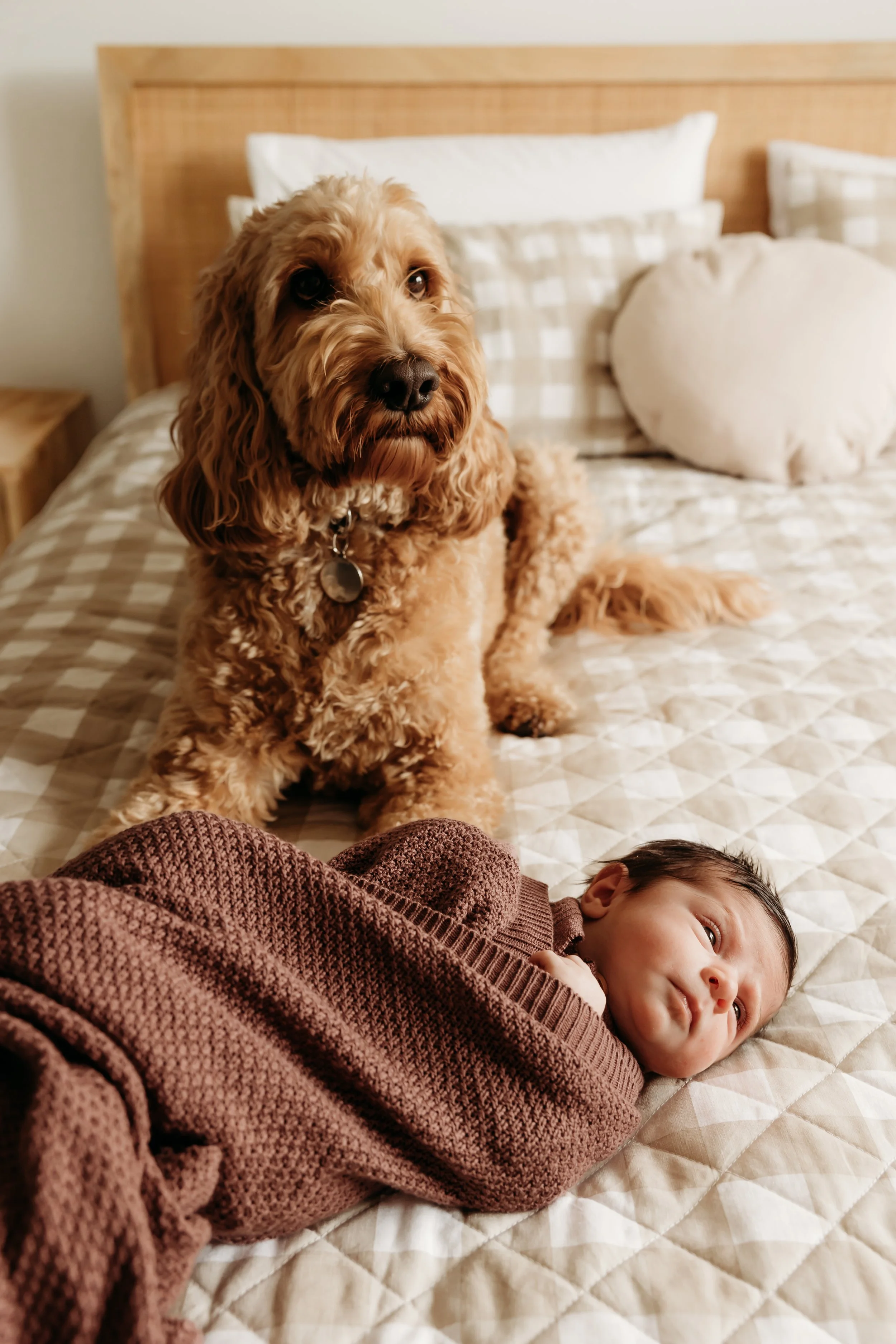 Livnewborn-81.jpg