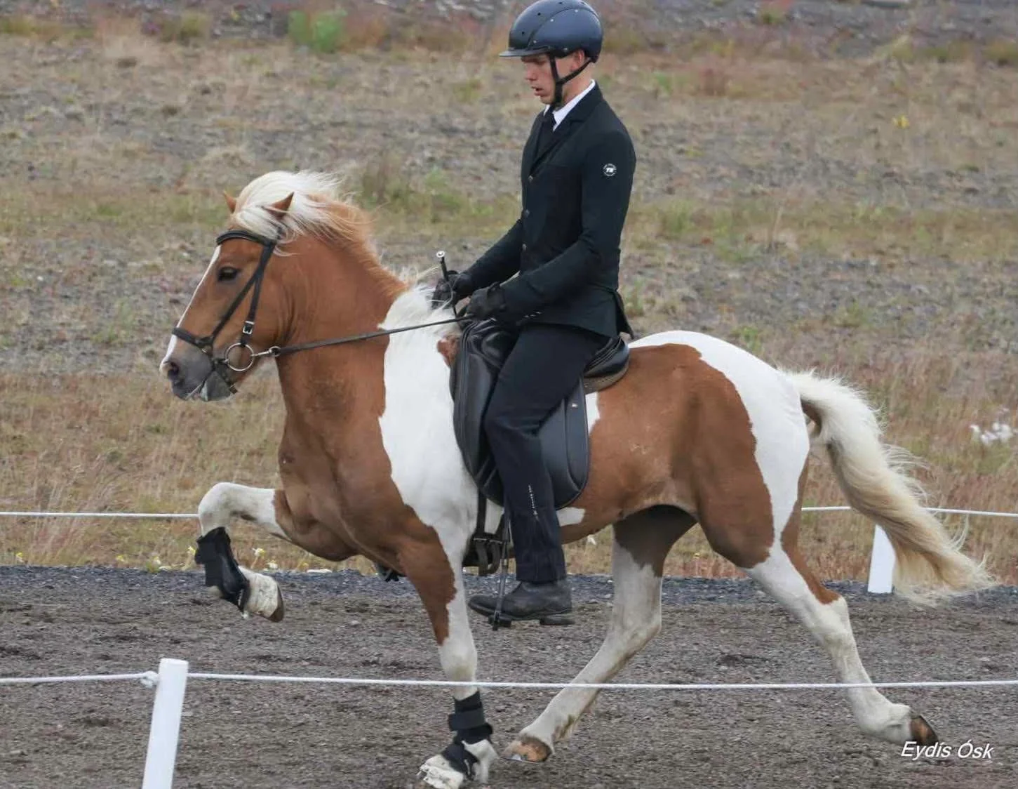 A person in formal riding attire riding a brown and white pinto horse in a fenced outdoor area with grassy terrain.