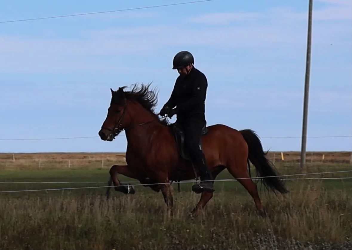 Kostur frá Skriðufelli