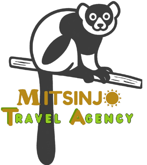 MITSINJO TRAVEL AGENCY