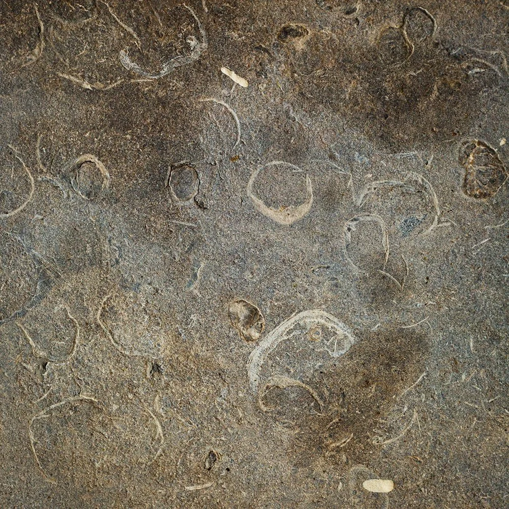 IMGL4835_6022v.jpg