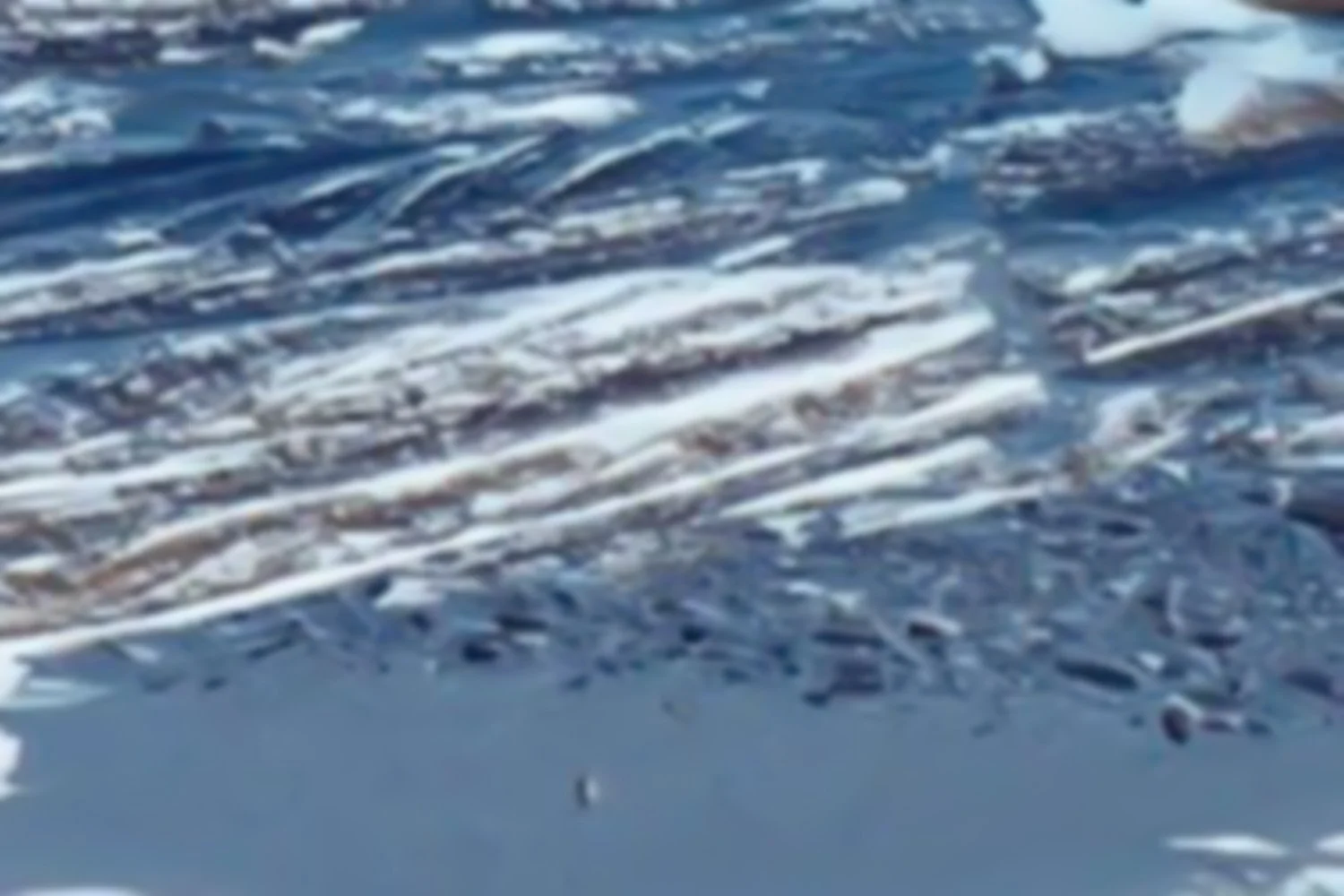 mars10 neg.jpg