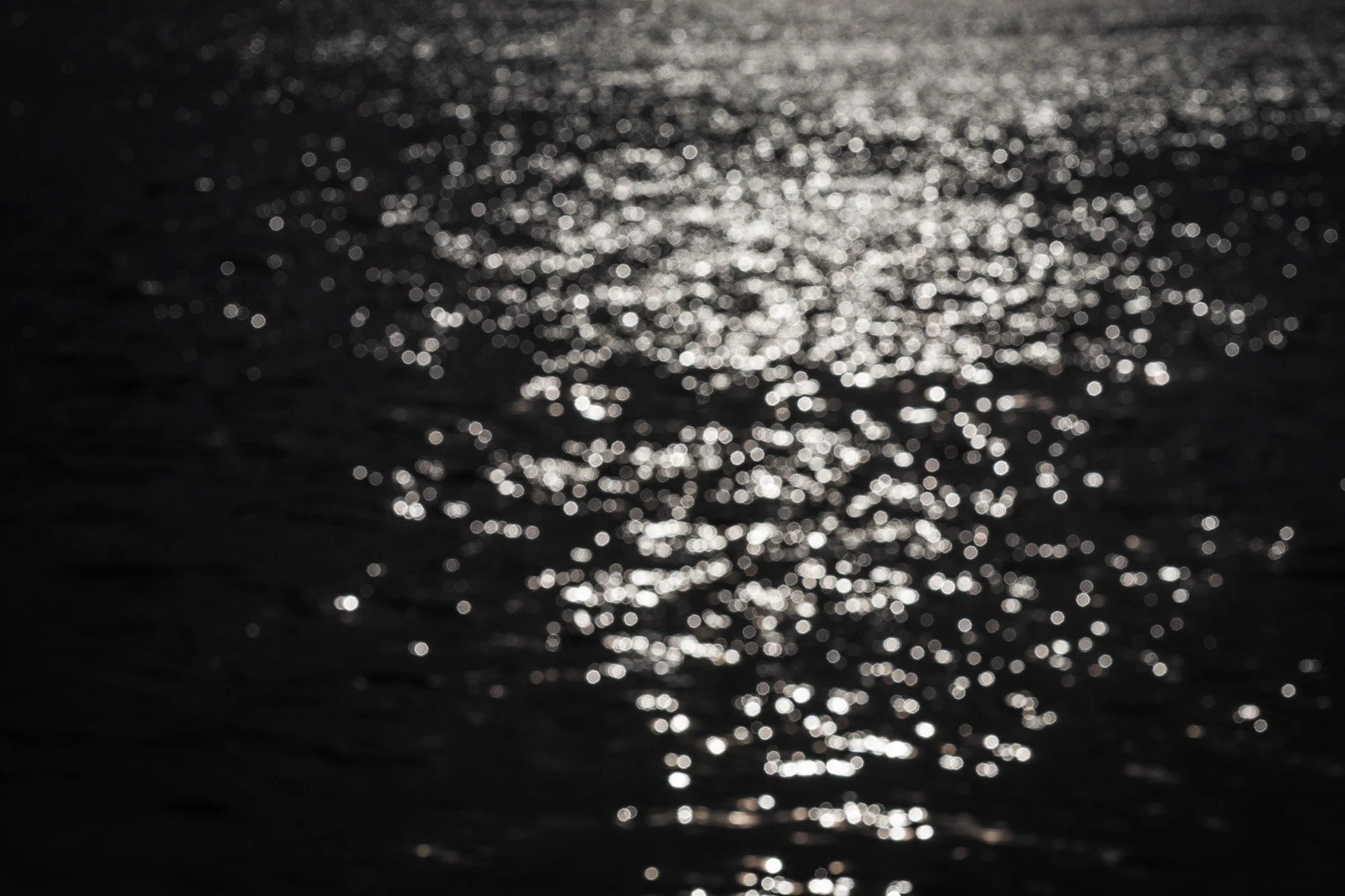 IMGL0639 kopiëren.jpg
