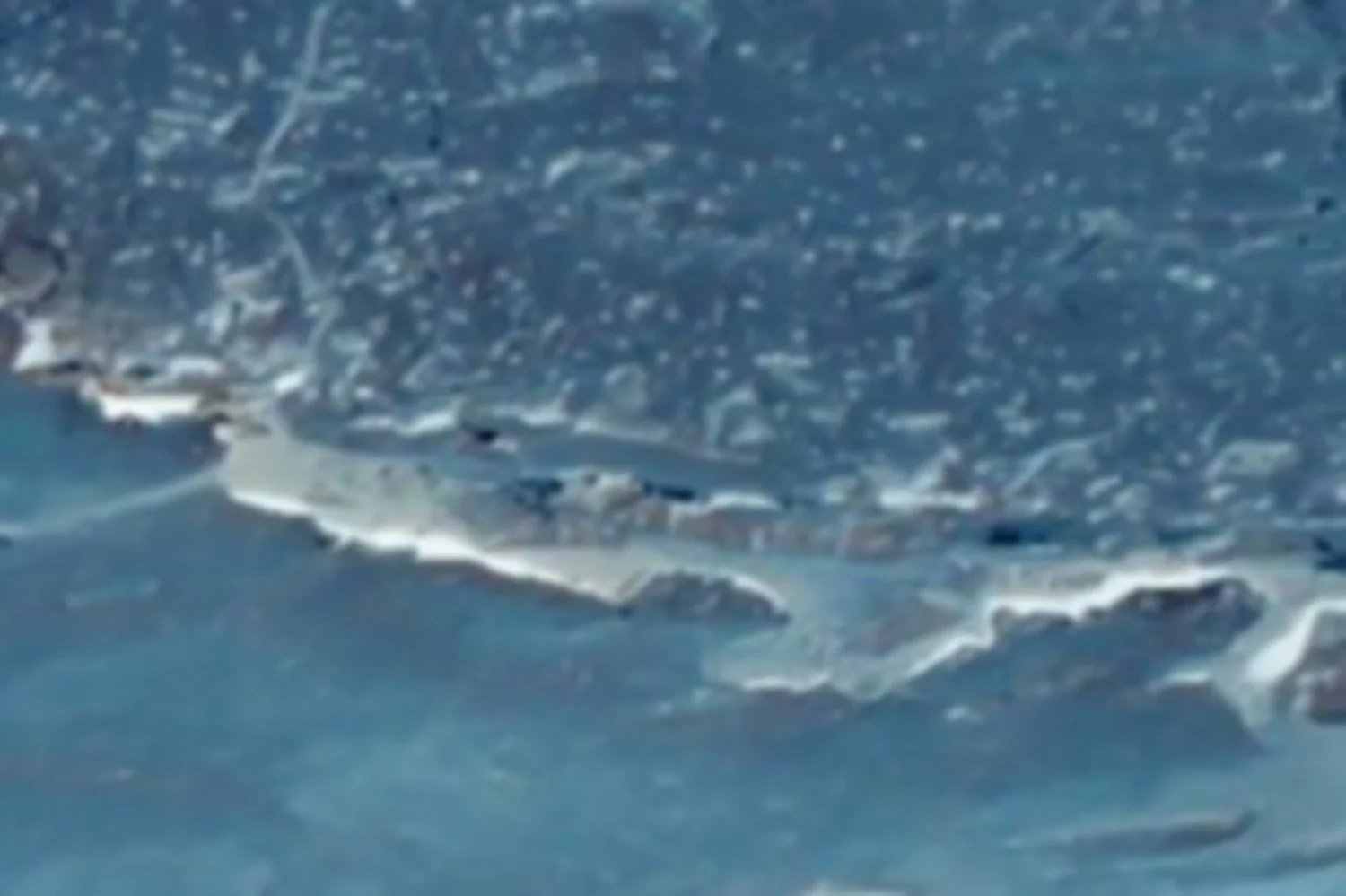mars11 neg.jpg