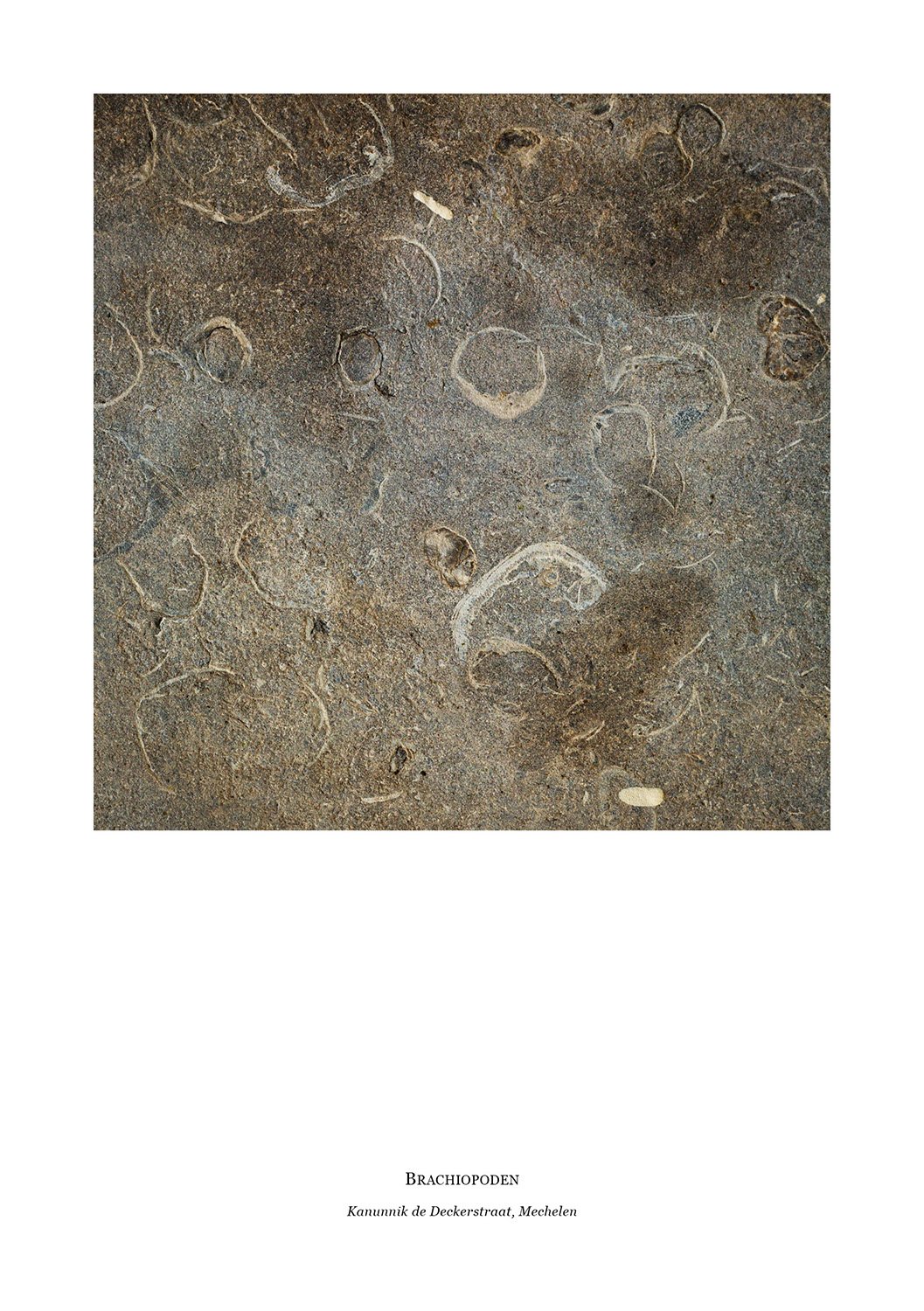sense of place_converted IKA_converted_216.jpg